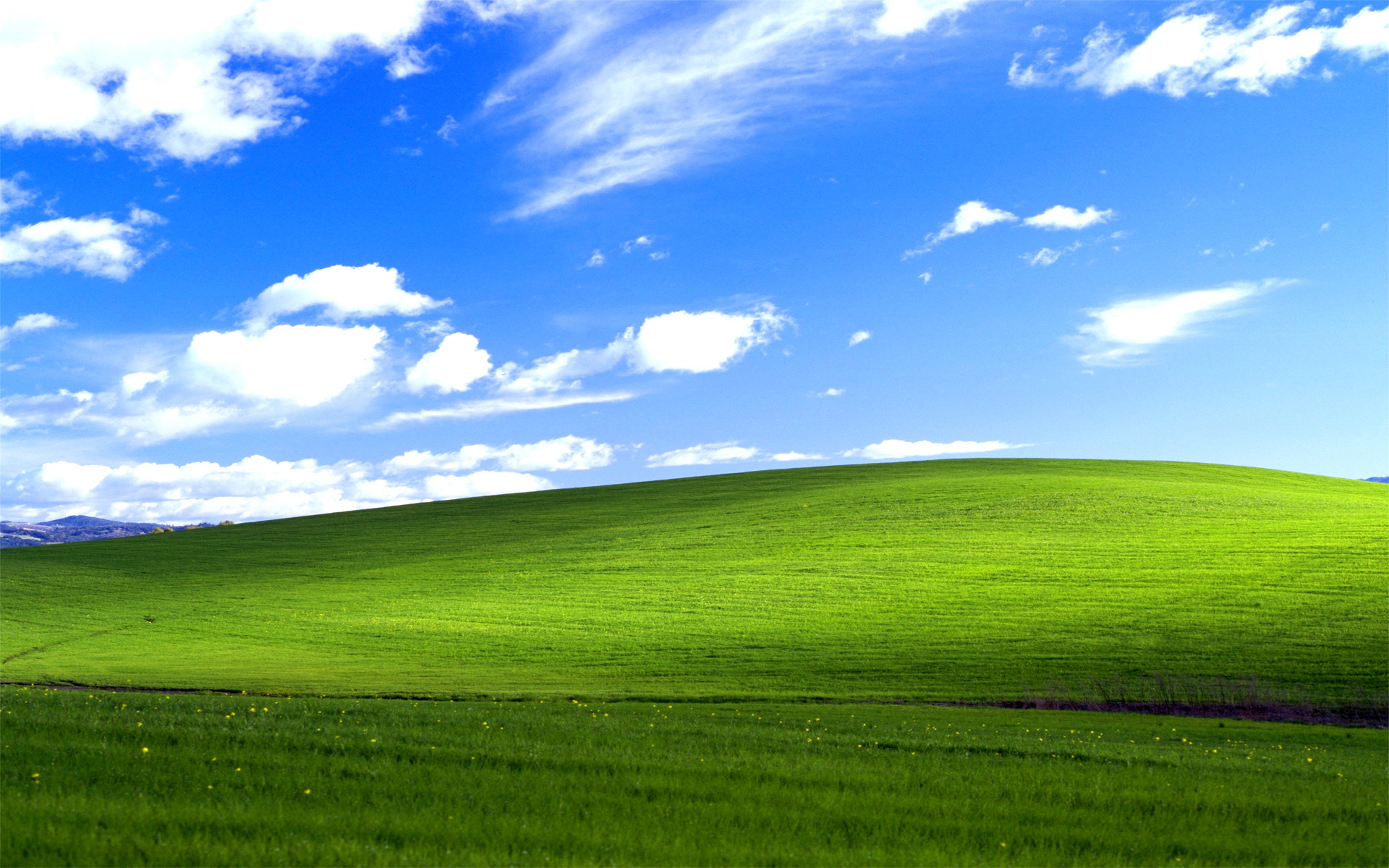 100+] Windows Xp Pictures | Wallpapers.com