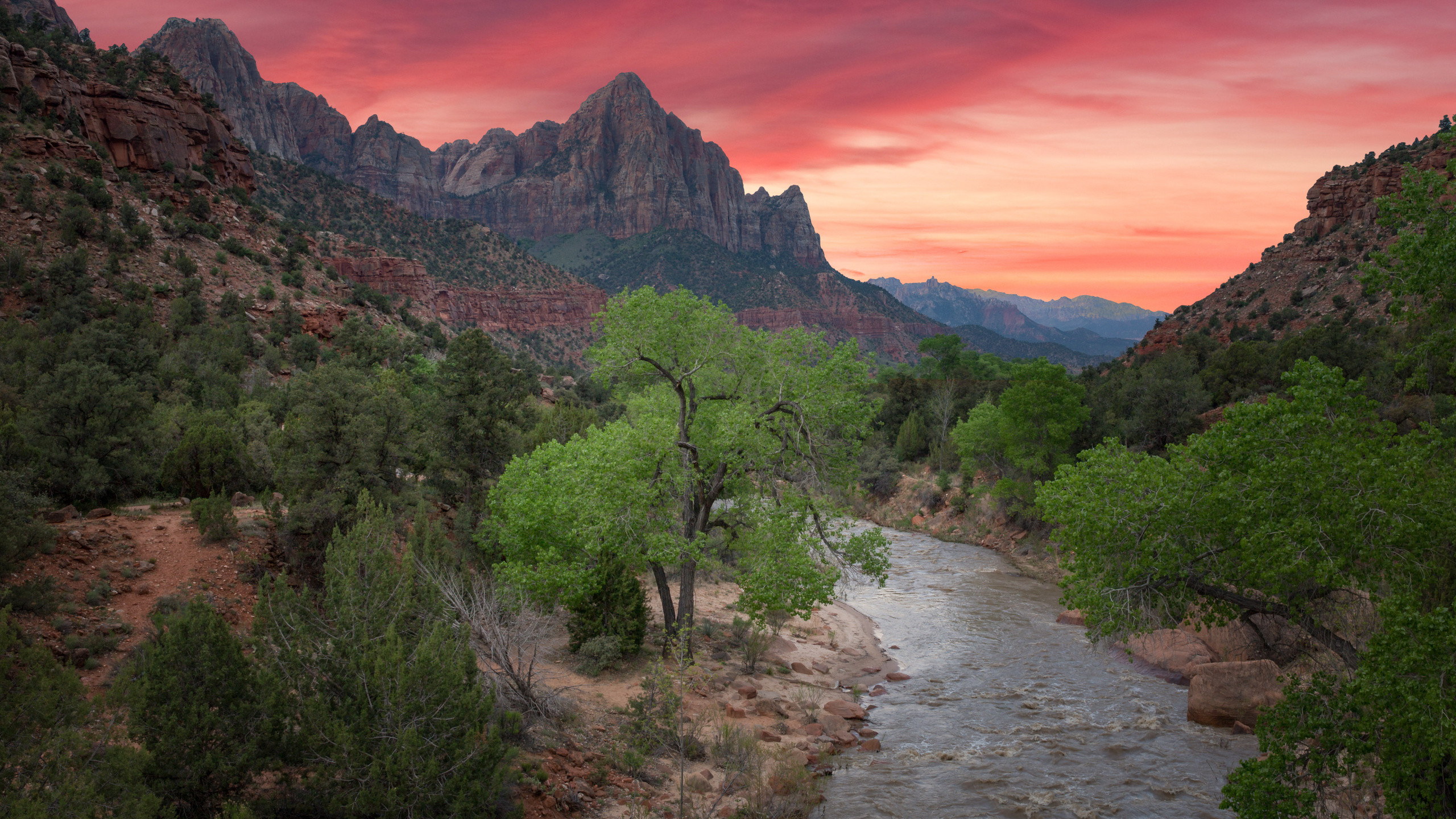 2560x1440  wallpaper The watchman at Zion national park