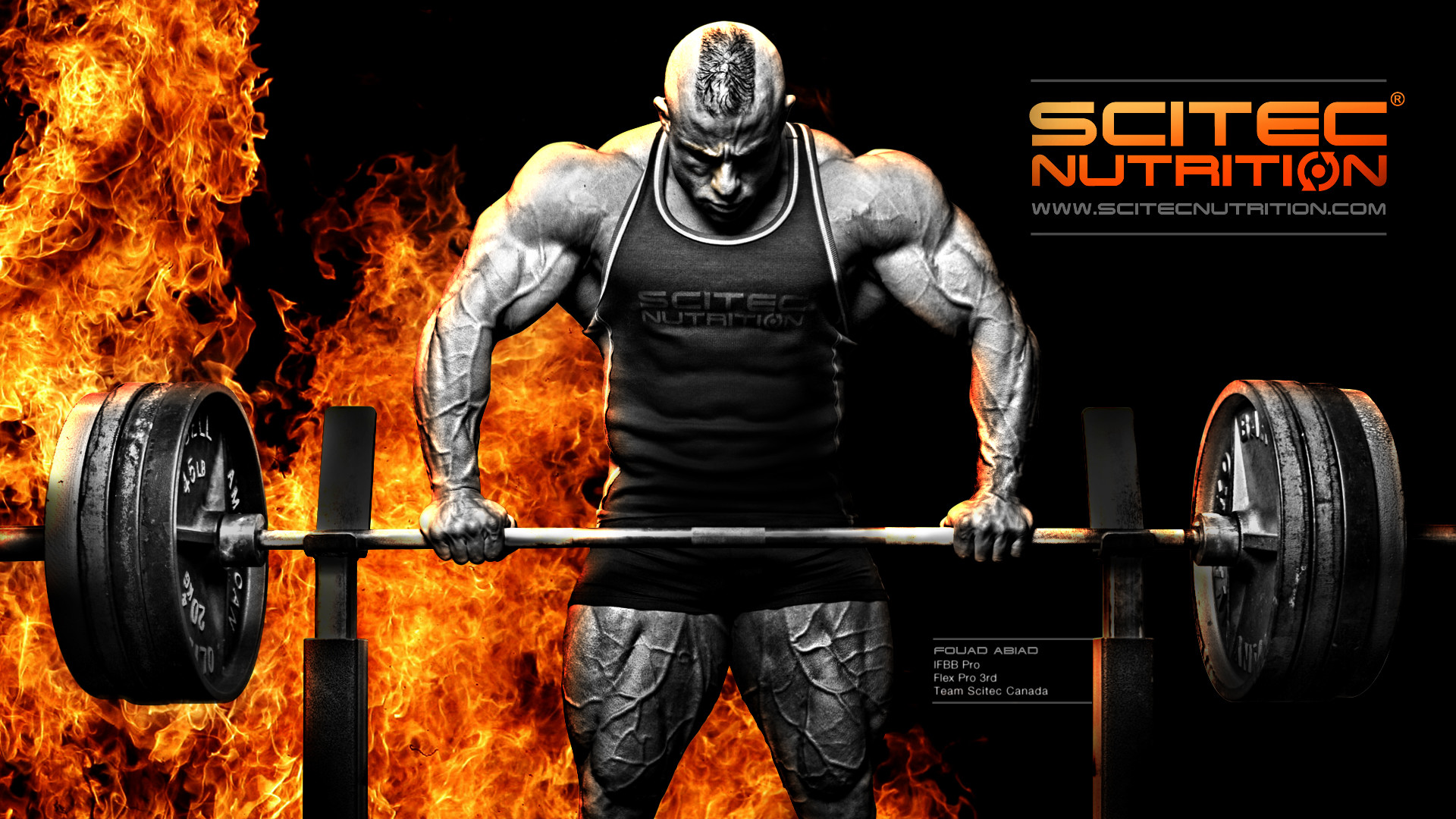 1920x1080 Scitec Nutrition Wallpaper | Fouad Abiad | Fitness & Bodybuilding  Sportnahrung | Pinned https:/