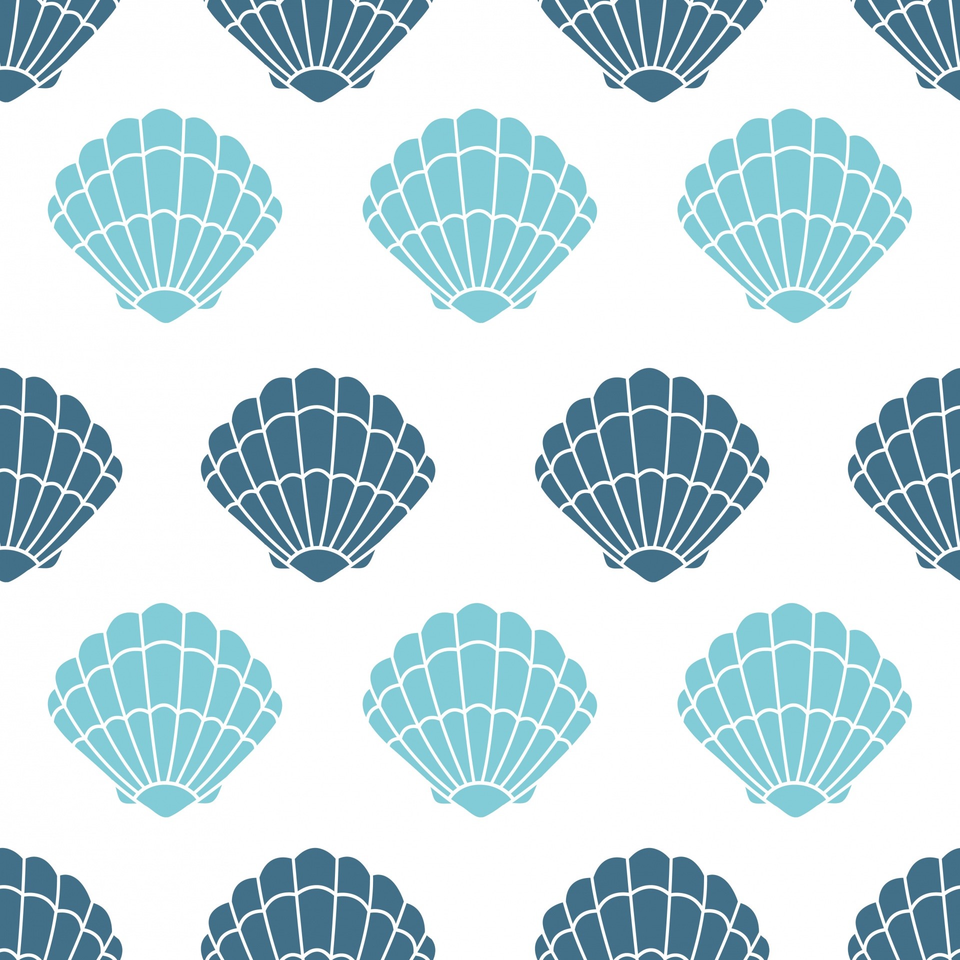 1920x1920 shells,sea shells,seashells,blue,wallpaper,paper,background,