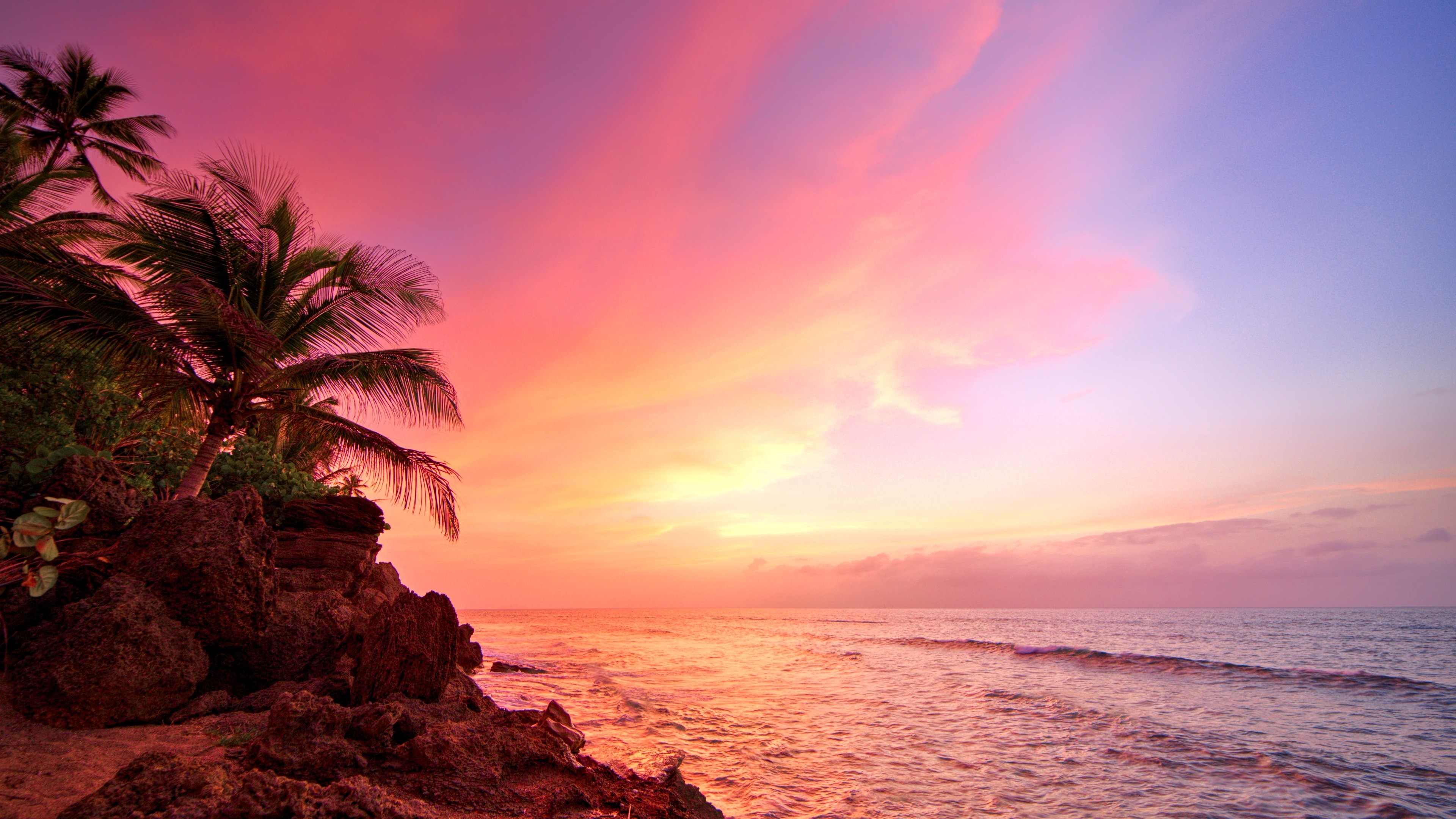 3840x2160 Earth - Sunset Rock Tropical Earth Coast Ocean Sea Puerto Rico Palm Tree  Sky Pink Horizon