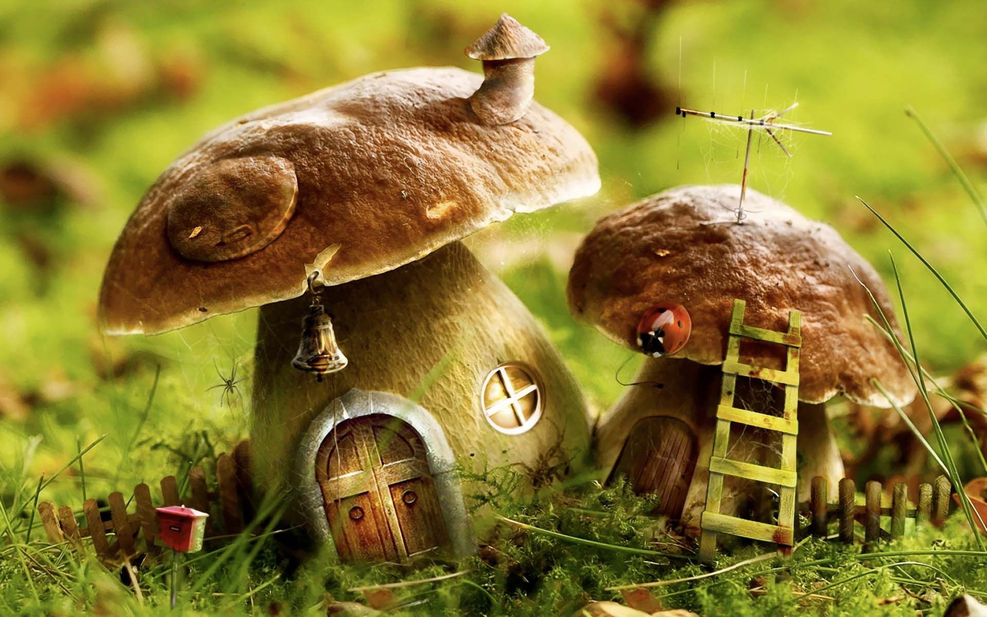 1920x1200 3D Mushroom Houses Wallpaper | HD Animals and Birds Wallpaper Free Download  ...