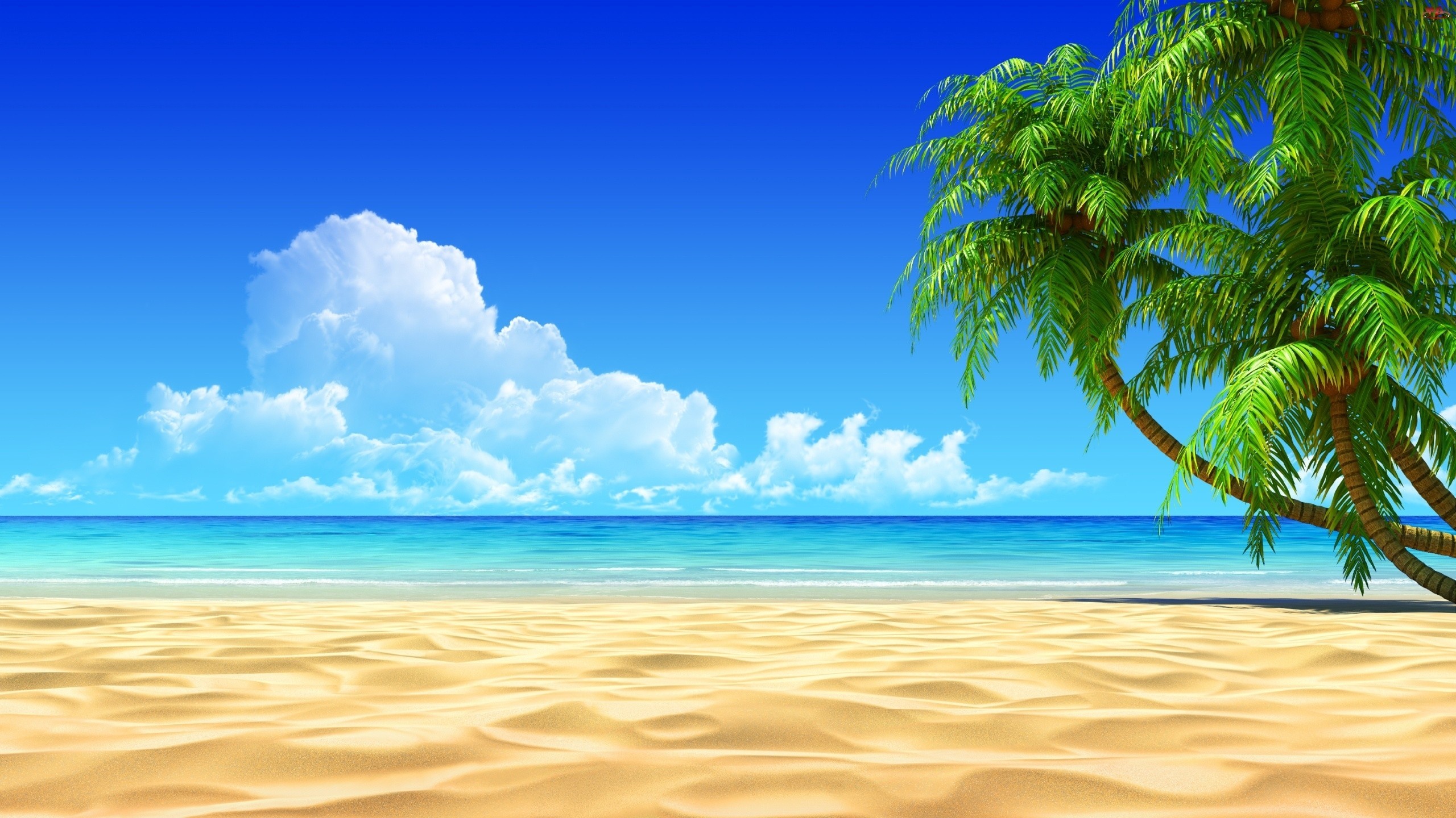 2560x1440  Beach Hd Wallpapers Desktop Background All Wallpaper Desktop   px 1.26 MB beach Sunset Wallpaper Sea