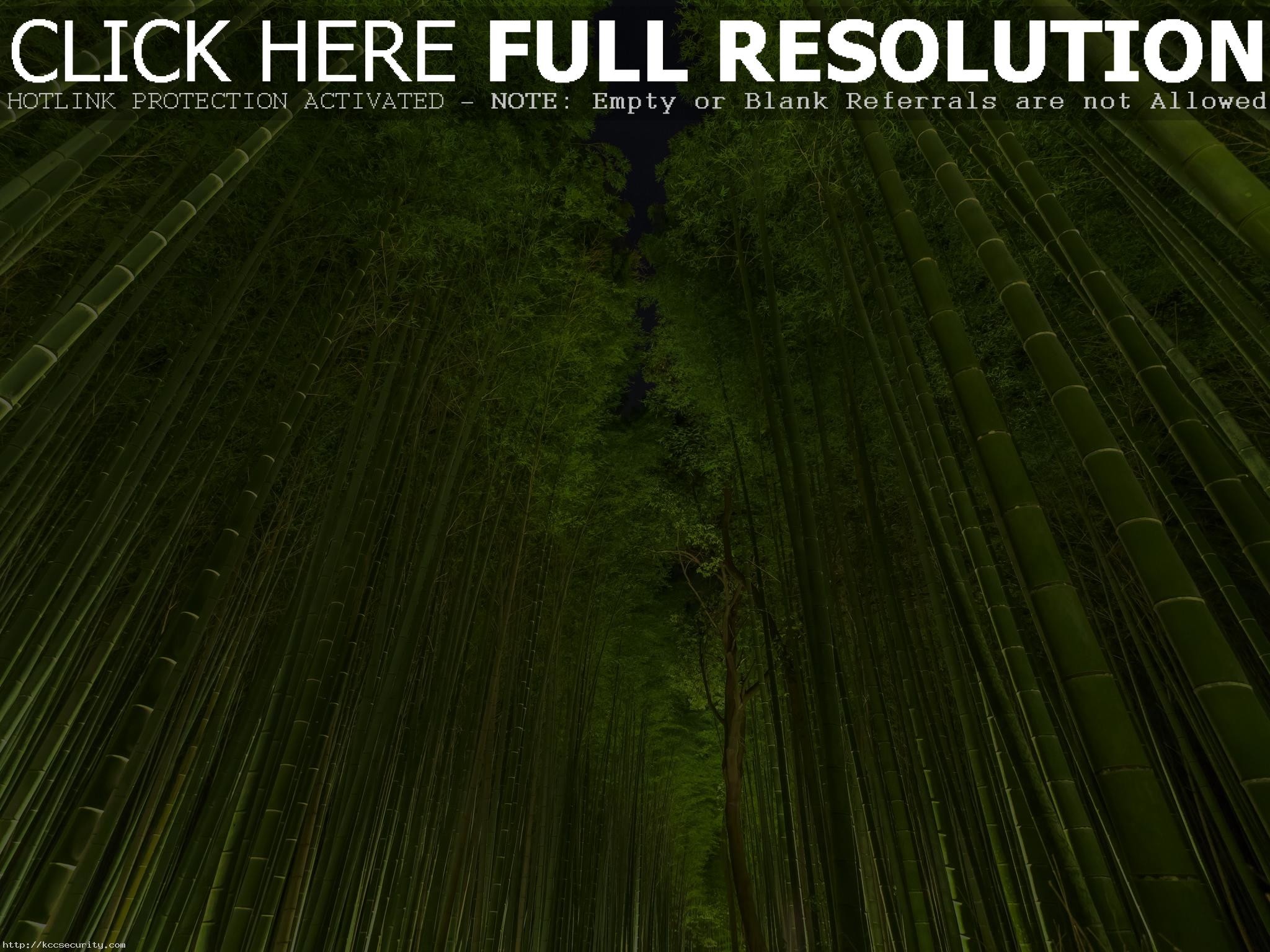 2048x1536 Bamboo Forest Wallpaper 48862