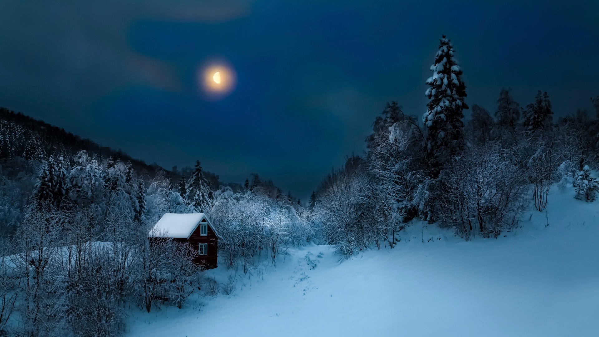 1920x1080  Wallpaper building, winter, snow, night, forest