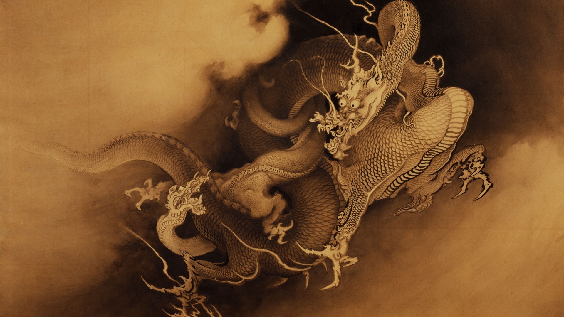 1920x1080 1920x1200 Image for Fantasy White Dragons Desktop Wallpaper