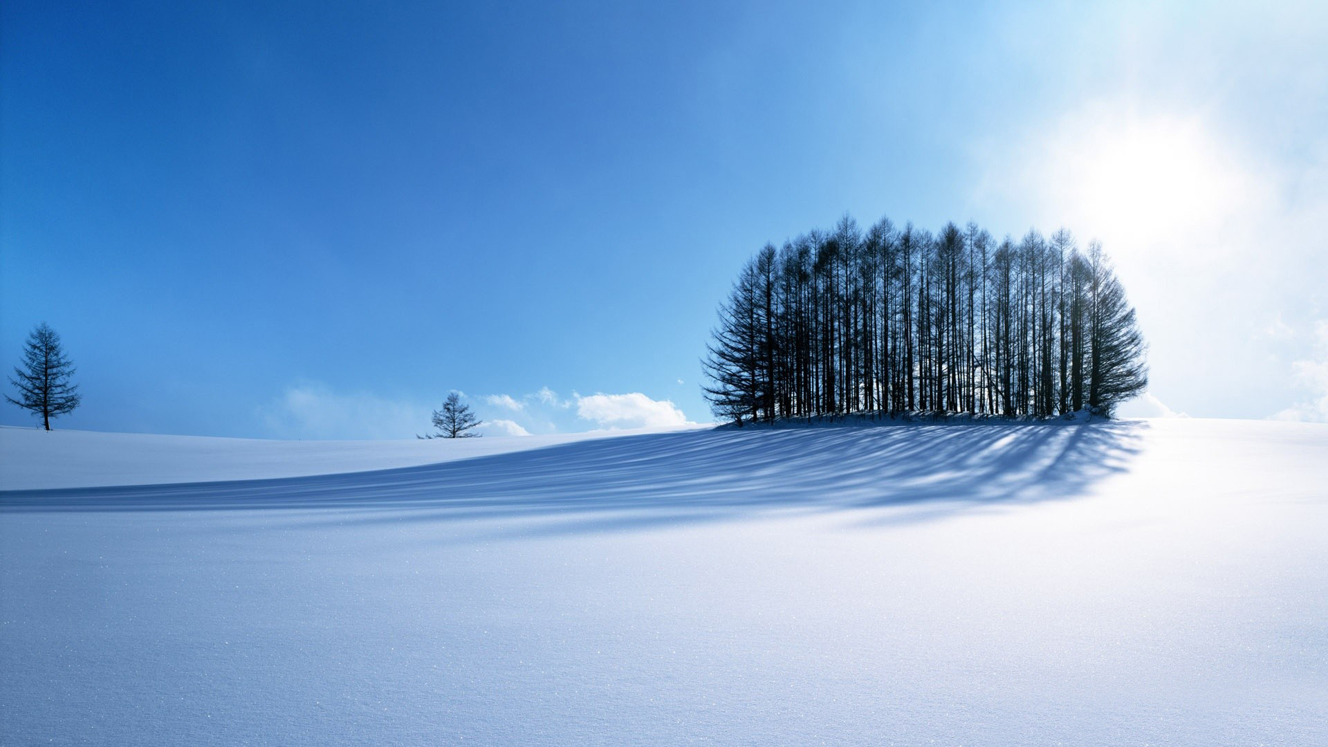 1920x1080 Winter Scenery
