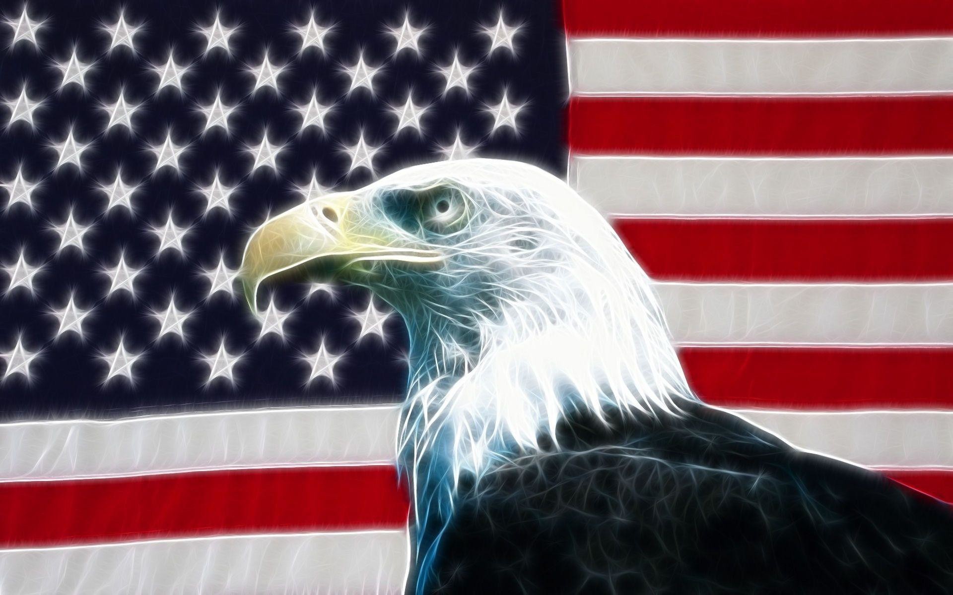 1920x1200 Bald Eagle with American Flag Free Stock Photo and Wallpaper