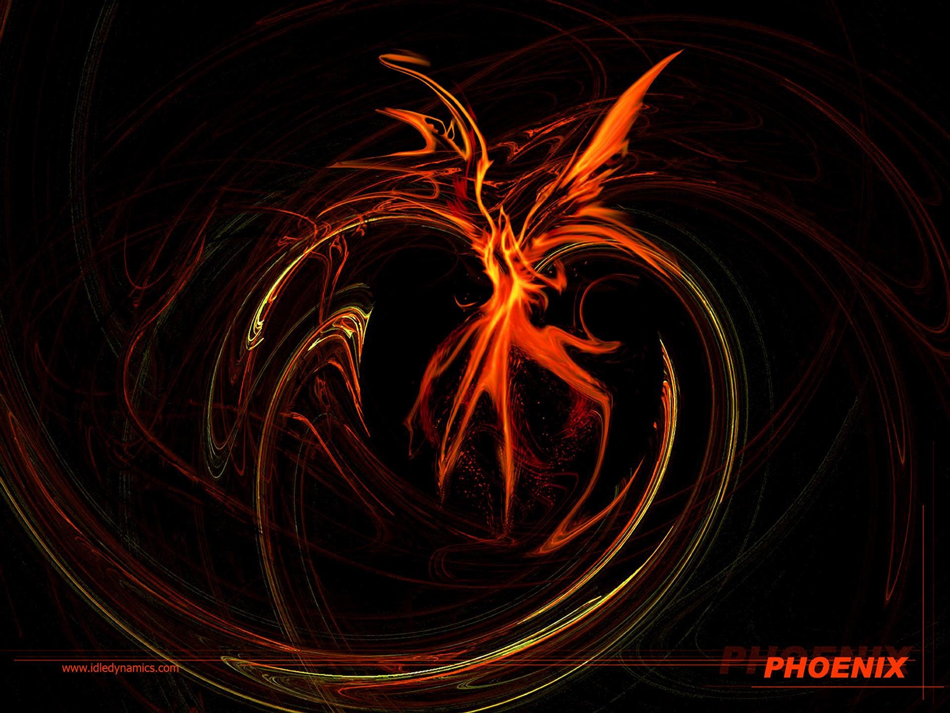 1920x1440 2560x1440 Free Download Phoenix Bird HD Wallpapers And Backgrounds