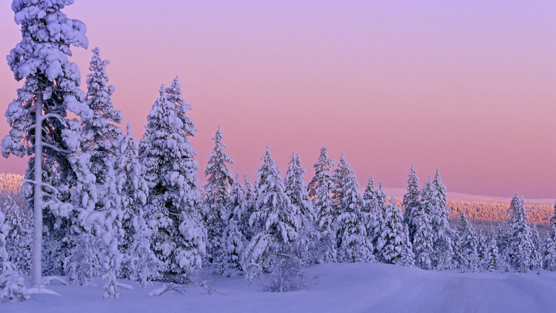 1920x1080 Beautiful Winter Scenes | Winter Snow Sighting Wallpaper Gt Beautiful  Scenery Free ~ Winter .