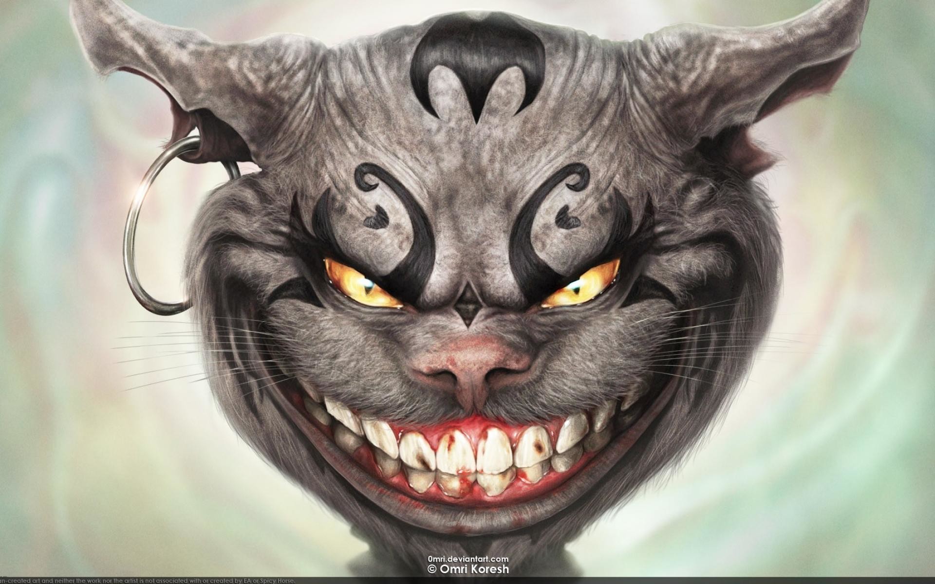 1920x1200 This cat scares dogs p