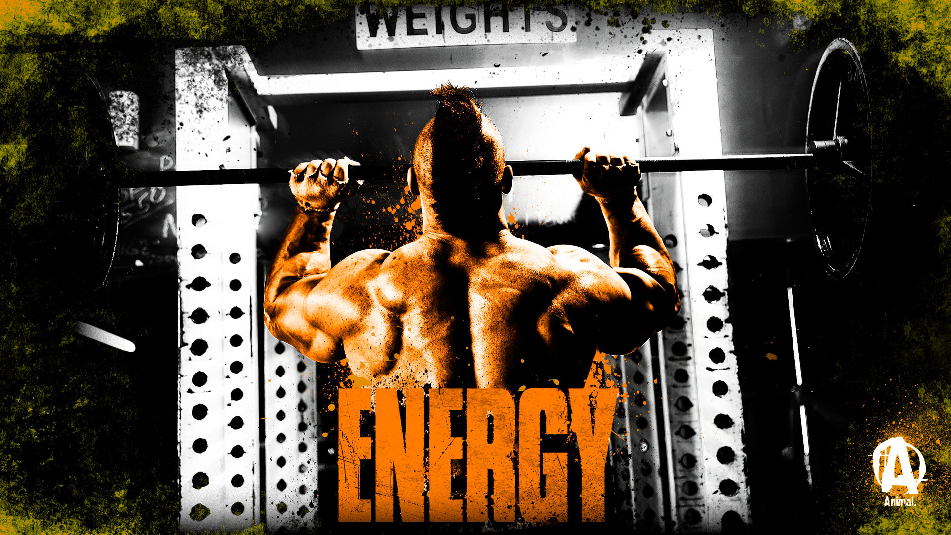 1920x1080 Animalpak Energy Gym Pump 590976 Wallpaper wallpaper