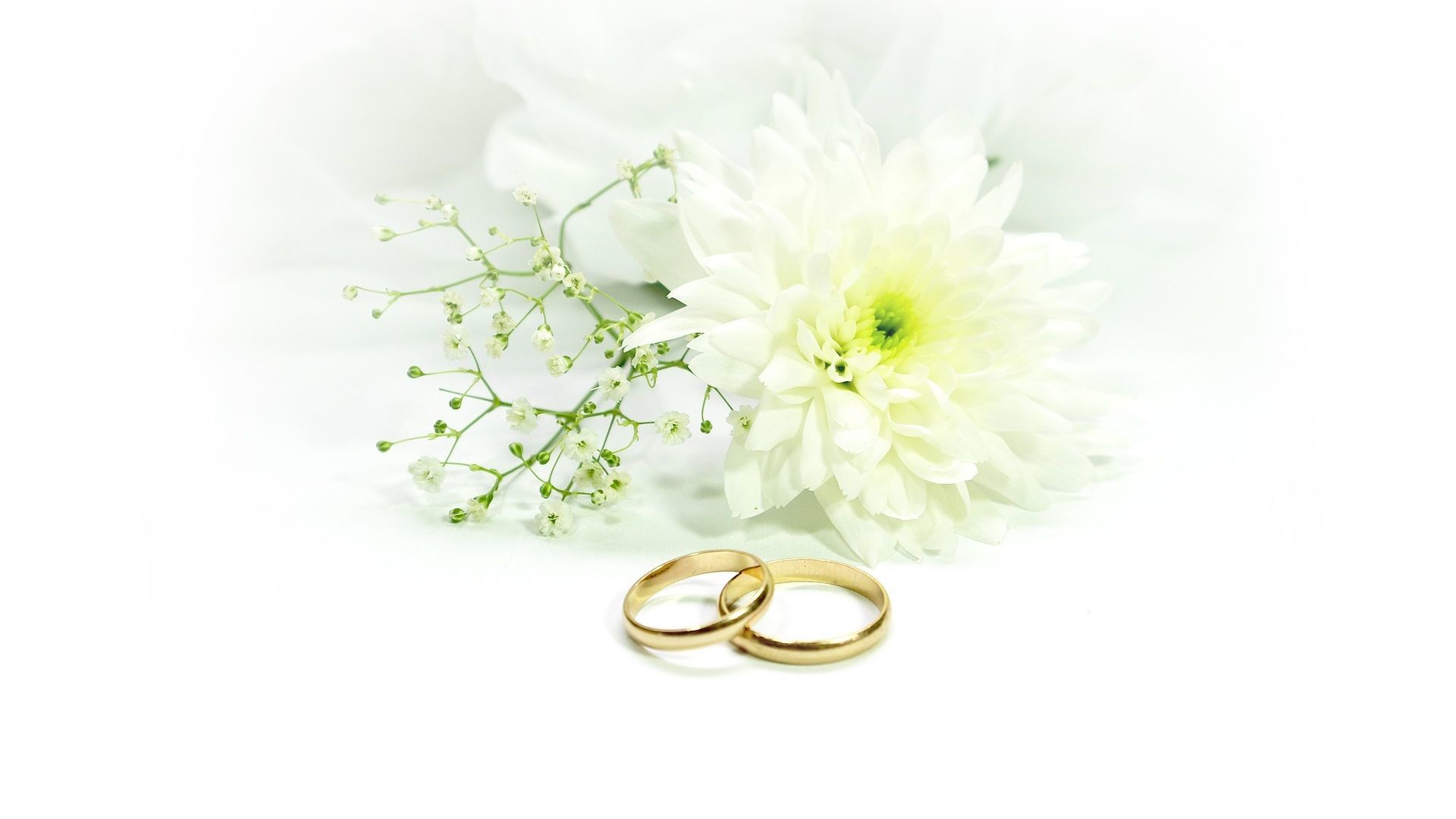 1920x1080 Wedding Rings With White Background