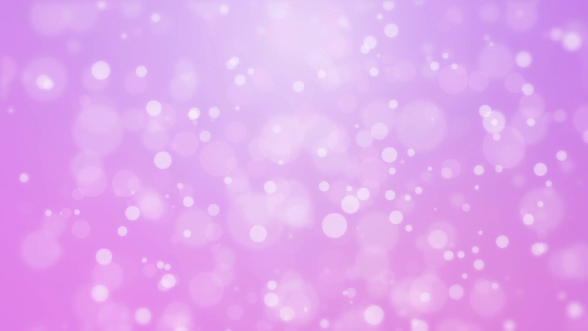 1920x1080 Subscription Library Sweet romantic purple pink gradient animated background  with floating glowing bokeh lights