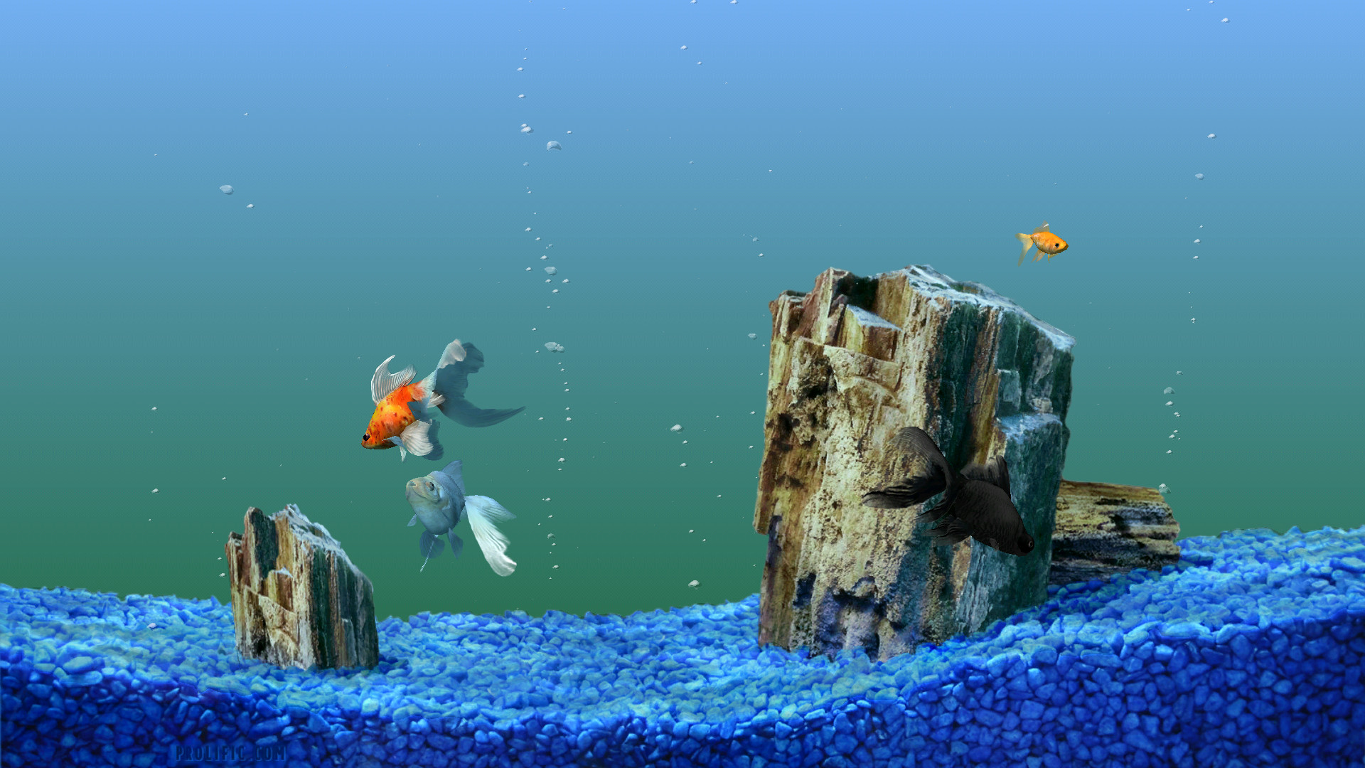 1920x1080 Animated Fish Tank Background