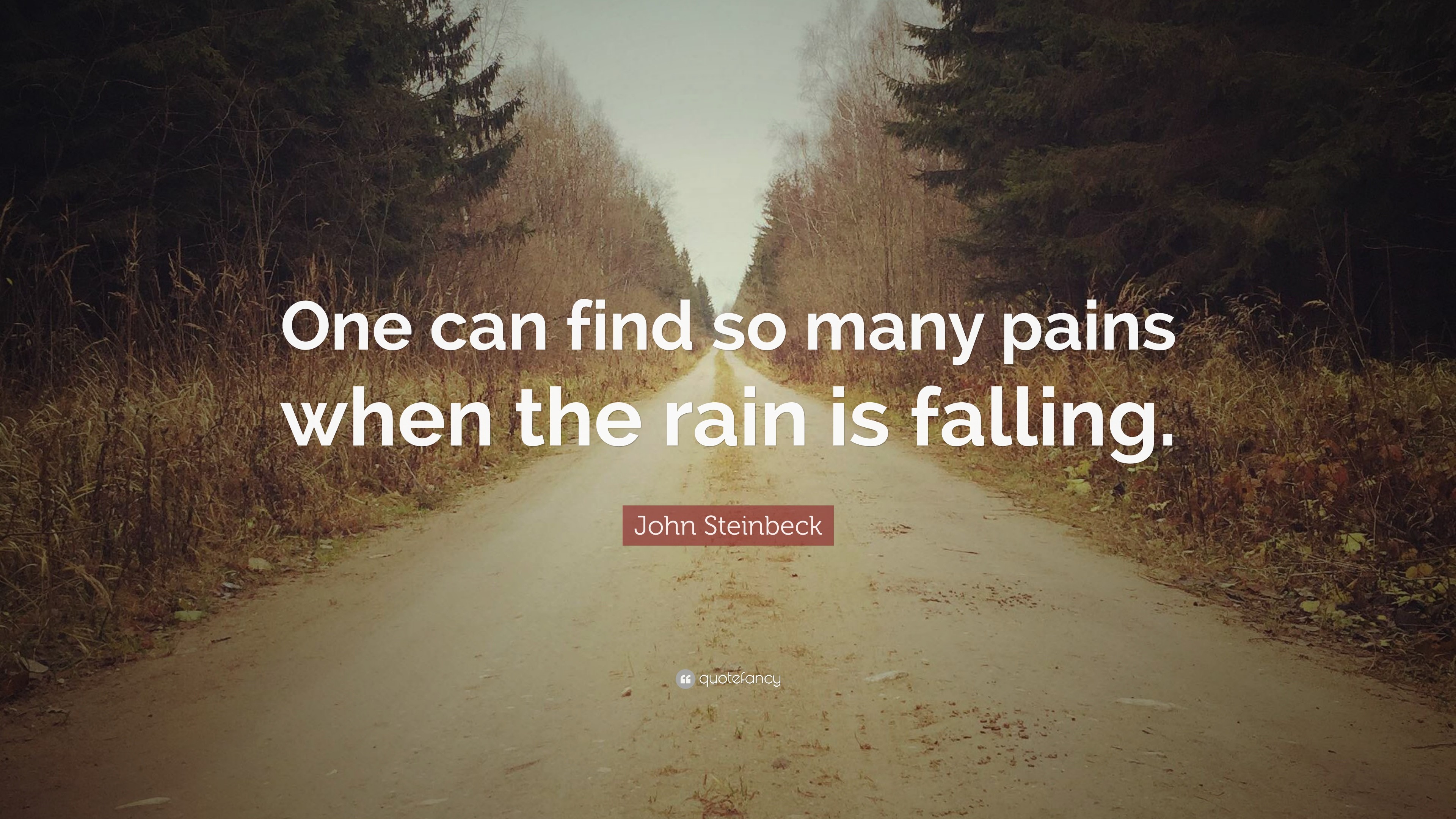 3840x2160 John Steinbeck Quote: “One can find so many pains when the rain is falling