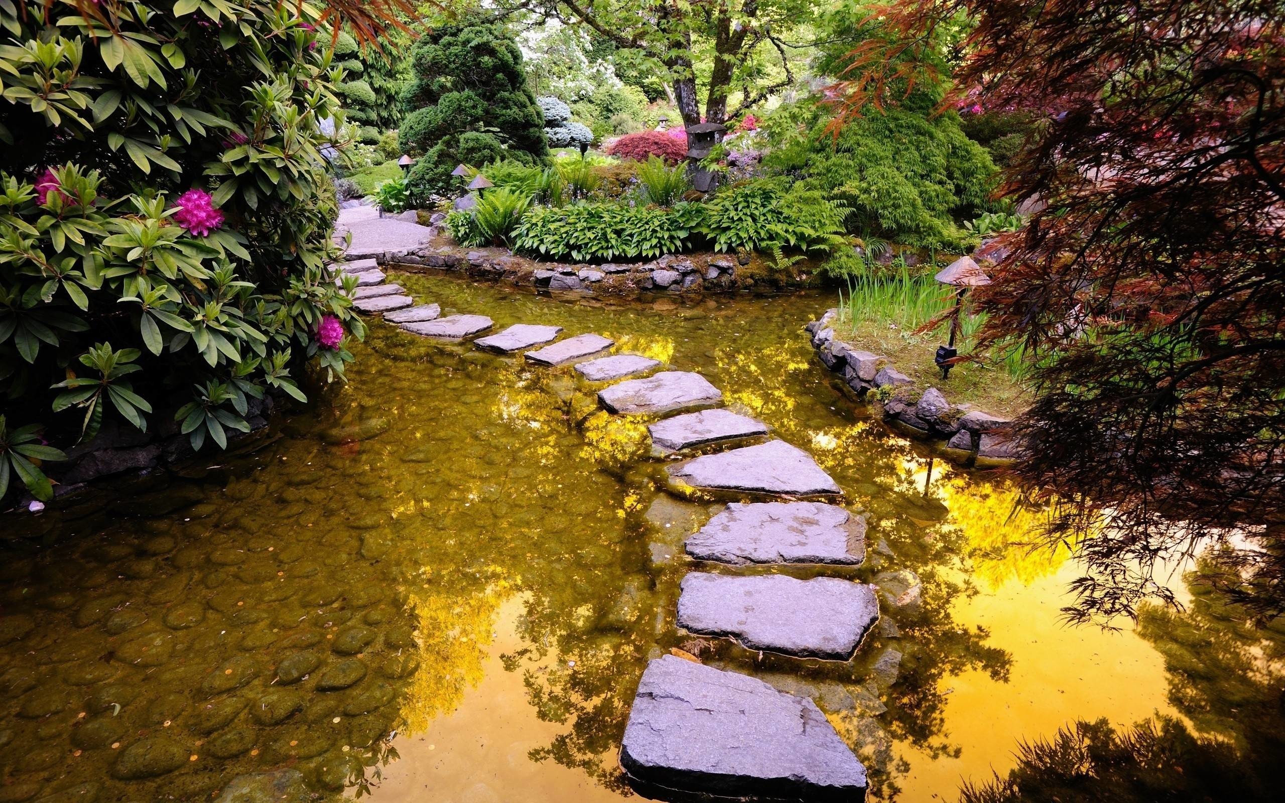 2560x1600 Free Path In Garden Pond Wallpapers, Free Path In Garden Pond HD .