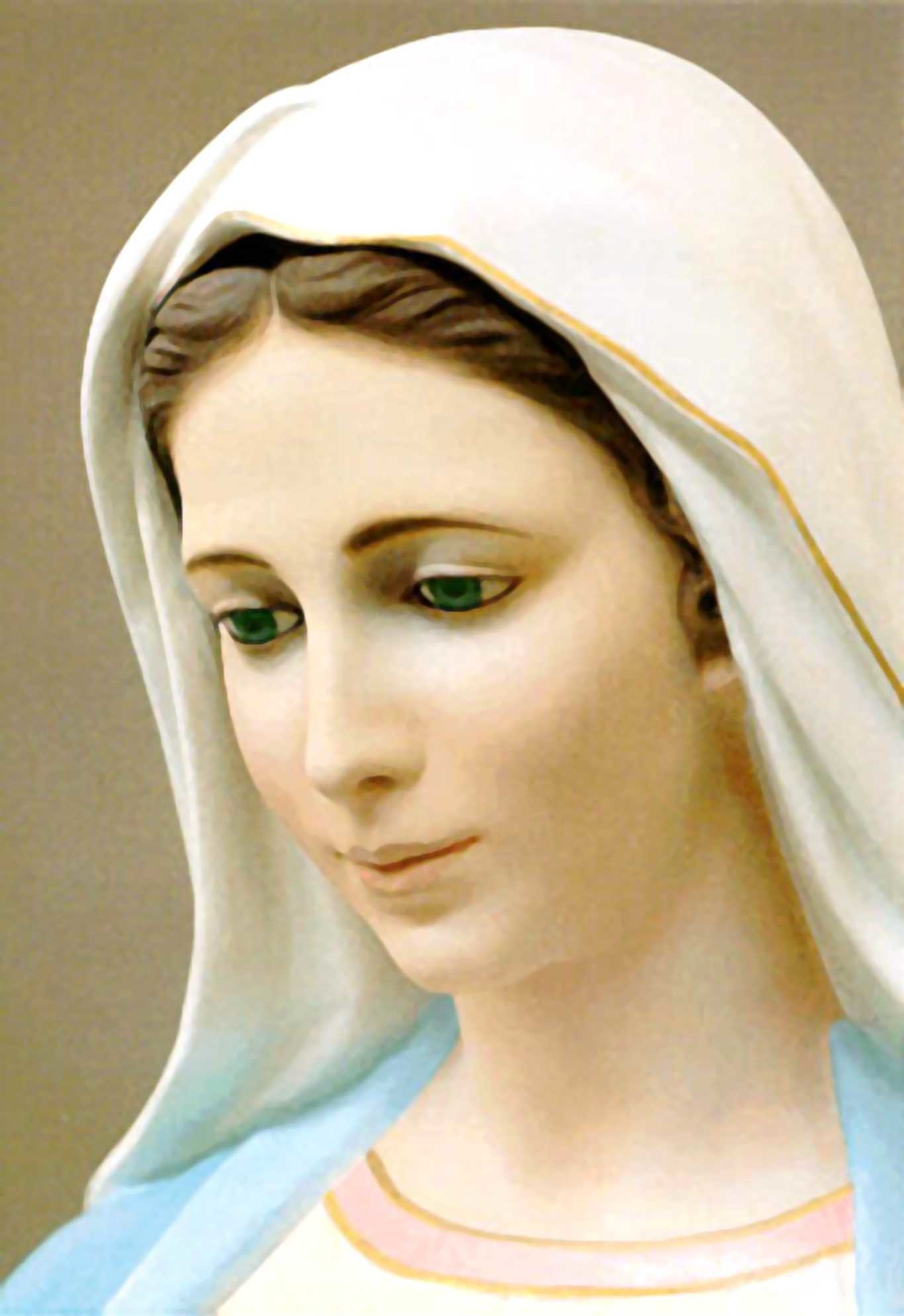 1600x2329 1353x2091 Mother Mary Pictures Free Download Unique Prodigies Of the Blessed  Virgin Mary Book Cover