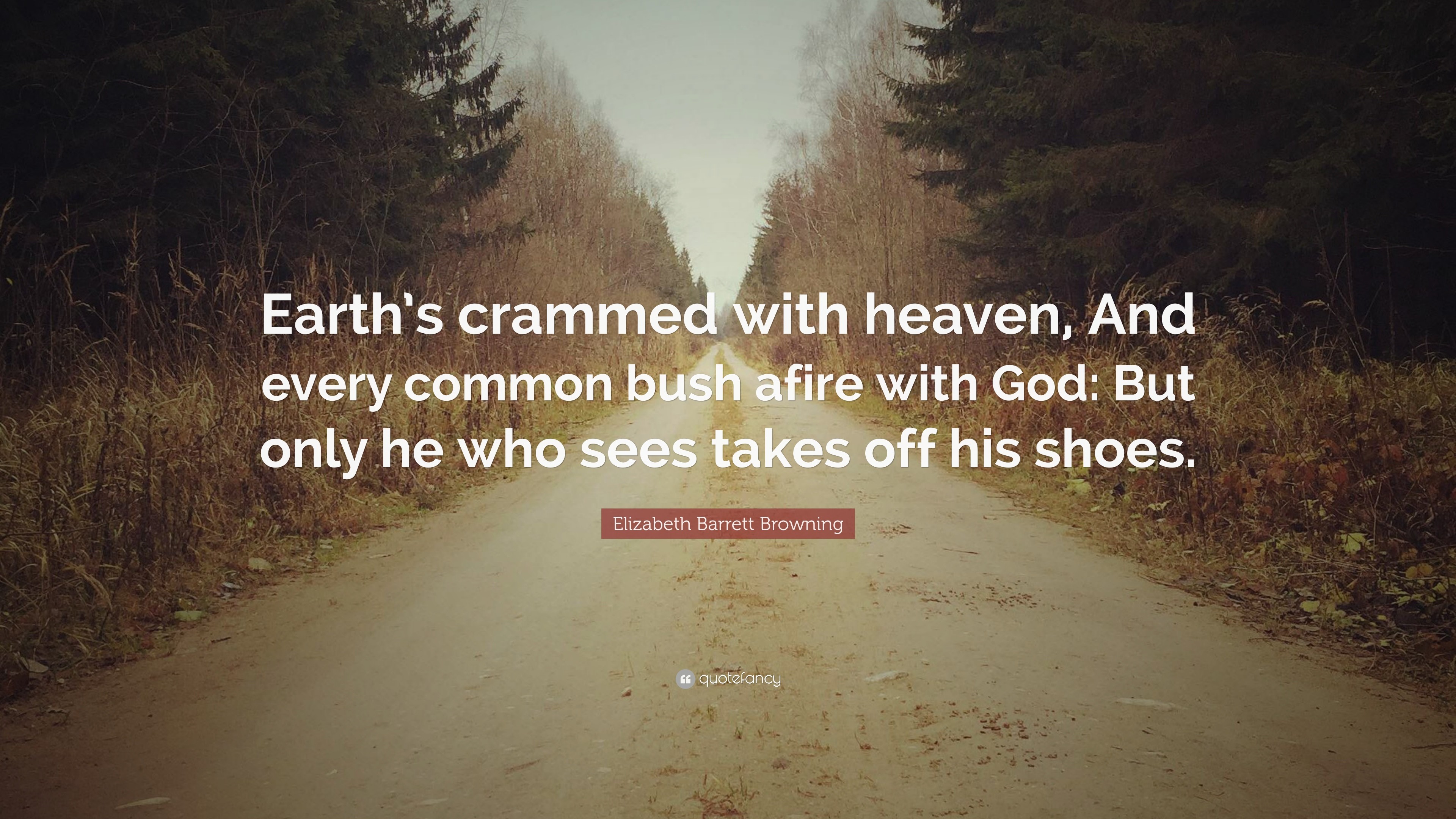 3840x2160 Elizabeth Barrett Browning Quote: “Earth's crammed with heaven, And every  common bush afire