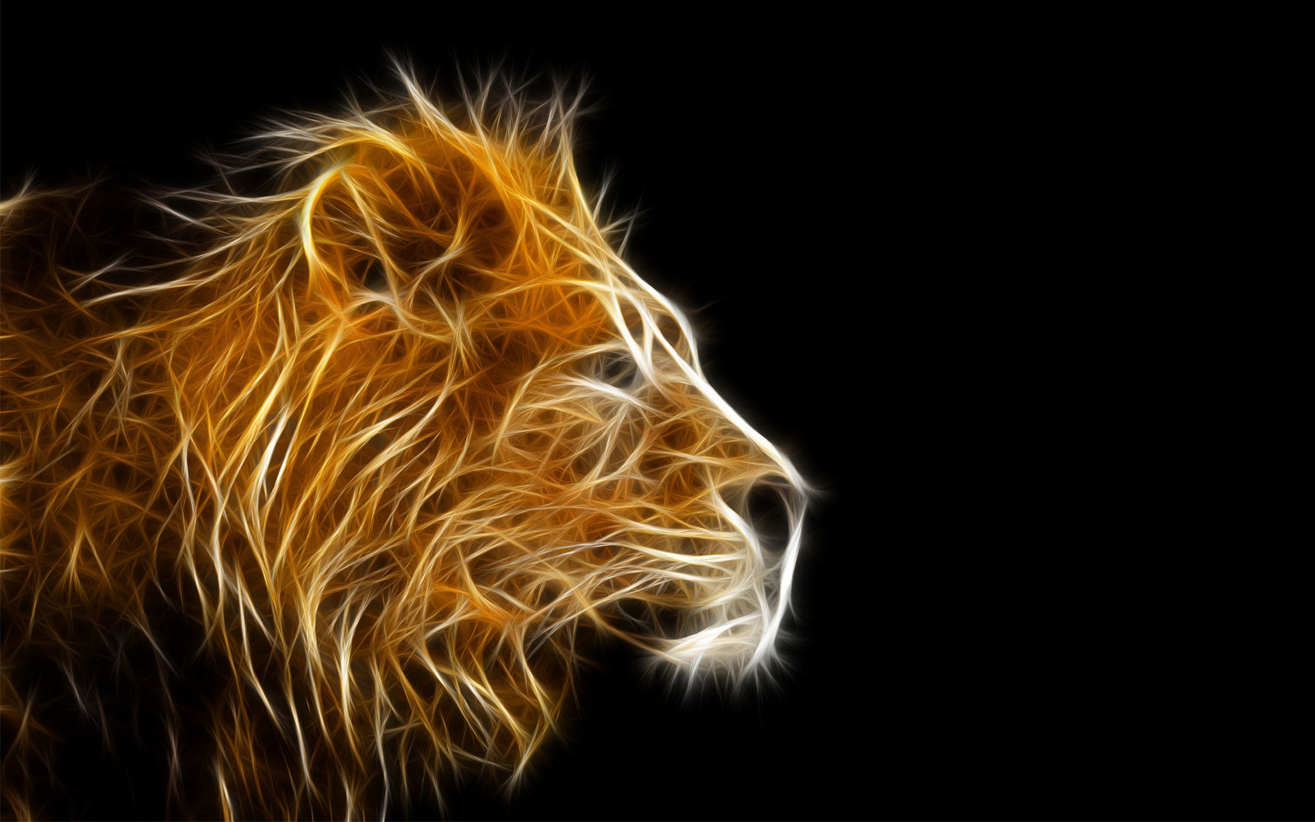 1920x1200 Cool Animal wallpapers Free Download Hd Backgrounds - HD Wallpapers