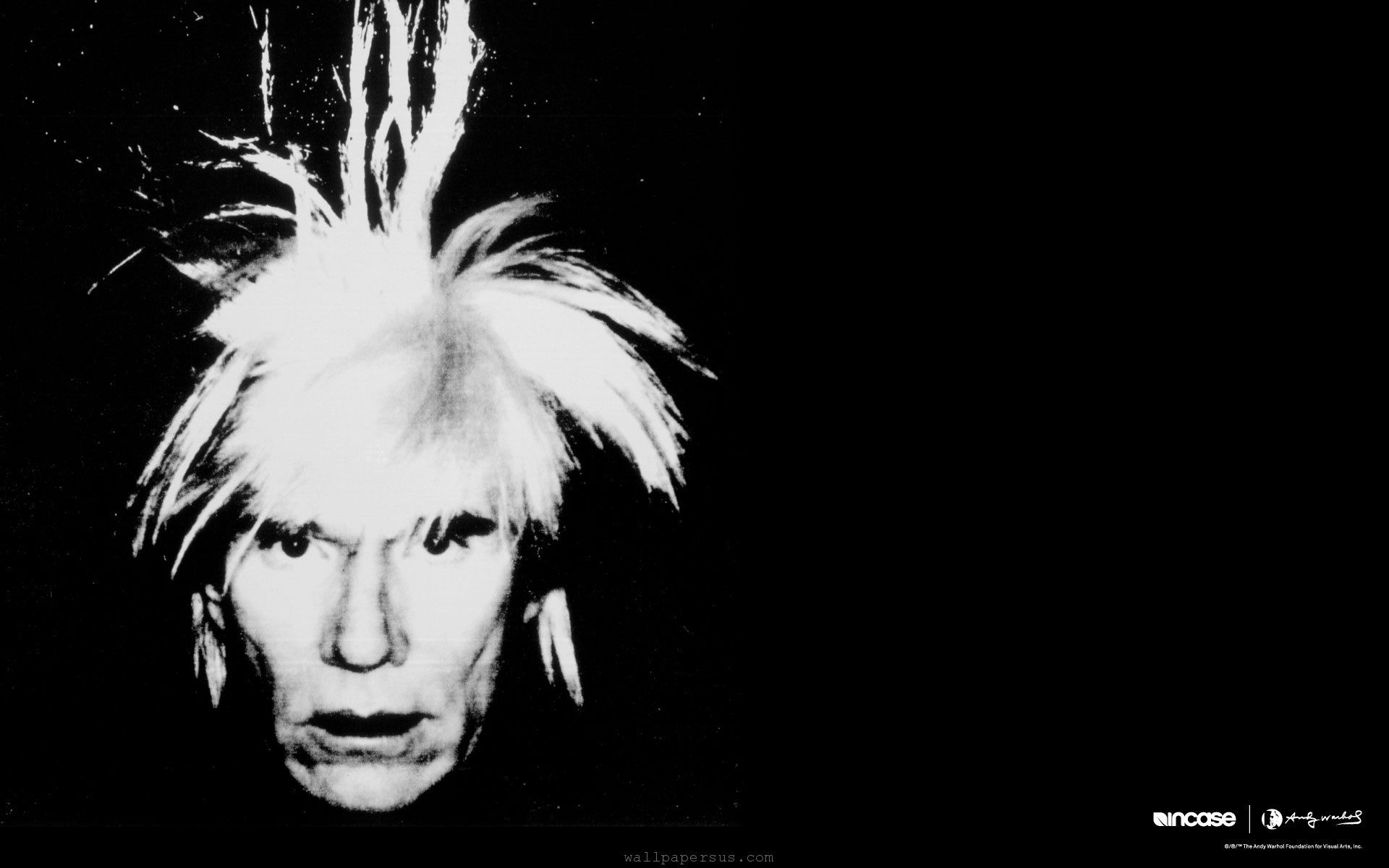 1920x1200 Andy Warhol