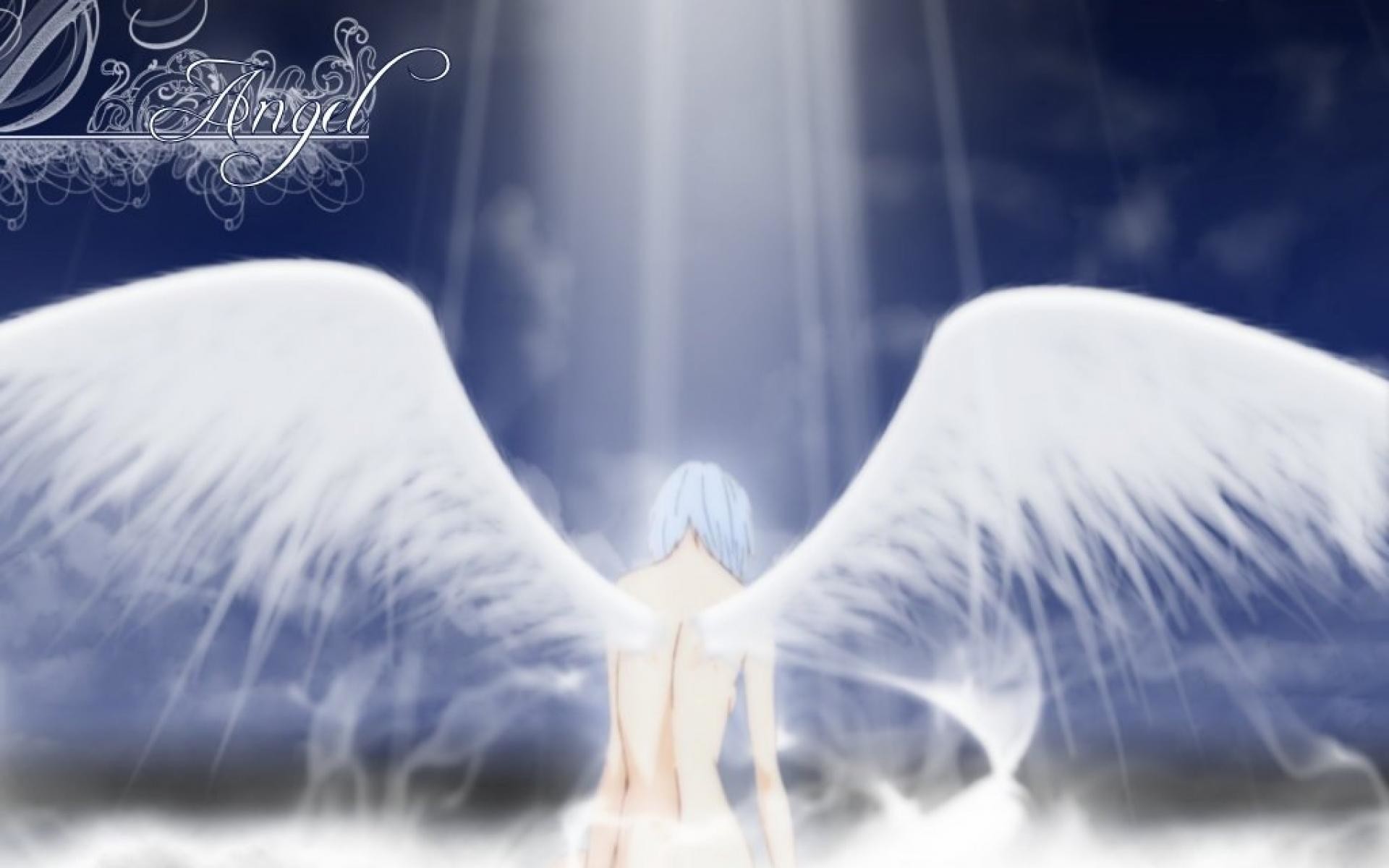 1920x1200 rei angel wings light manga anime HD Wallpaper wallpaper - (#2343 .