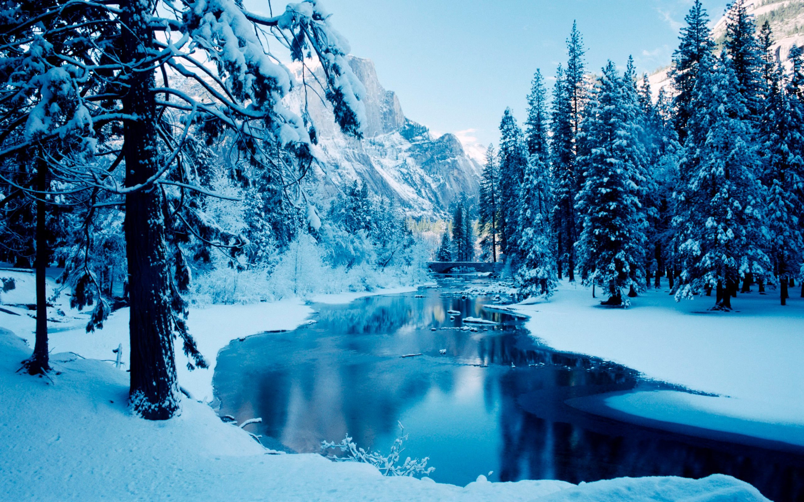 2560x1600 Winter Scene Wallpaper