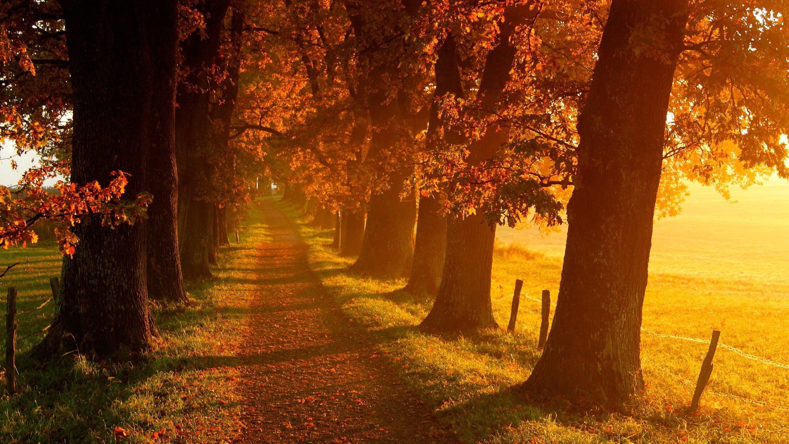 2560x1440 Pix For > Fall Landscapes Wallpaper