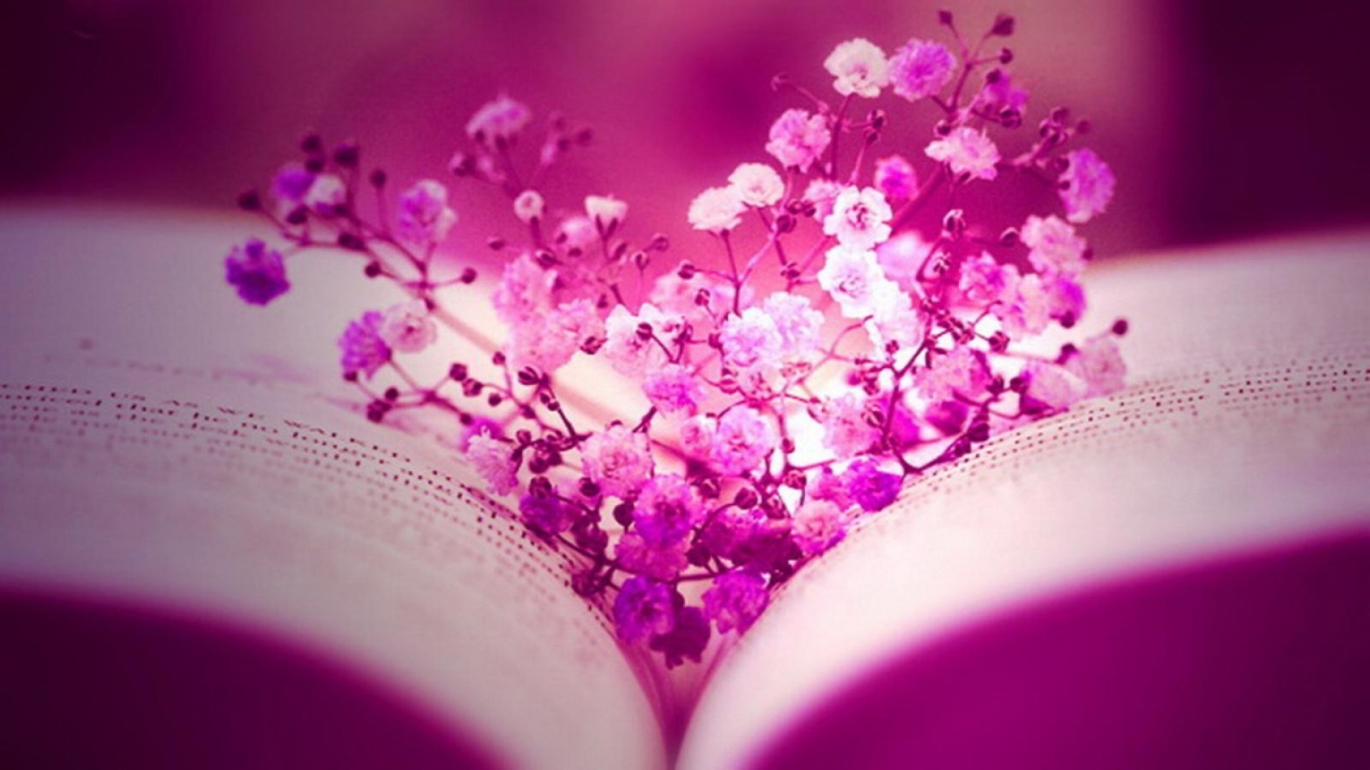 1920x1080 14227Pink-wallpaper-the-bouquet-of-flower-in-the-