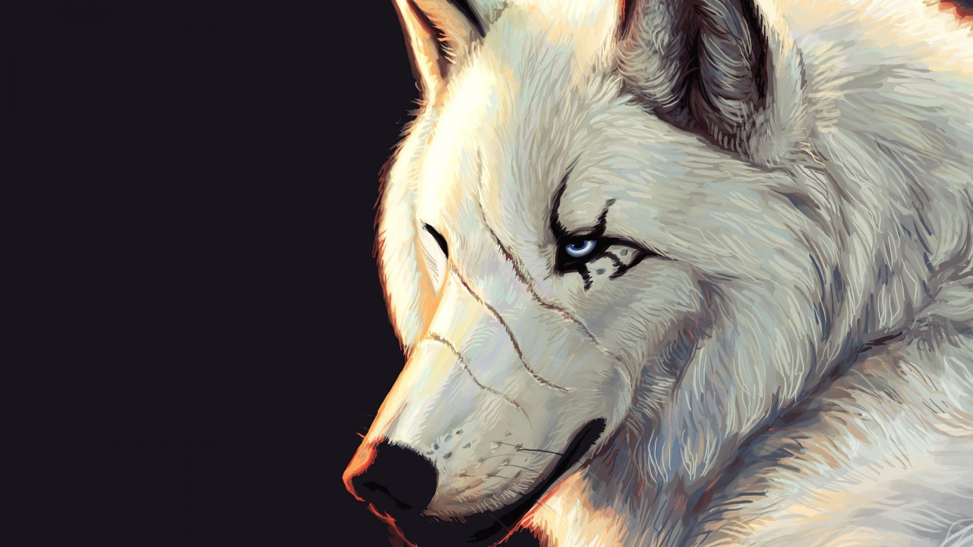 1920x1080 Wolf Art