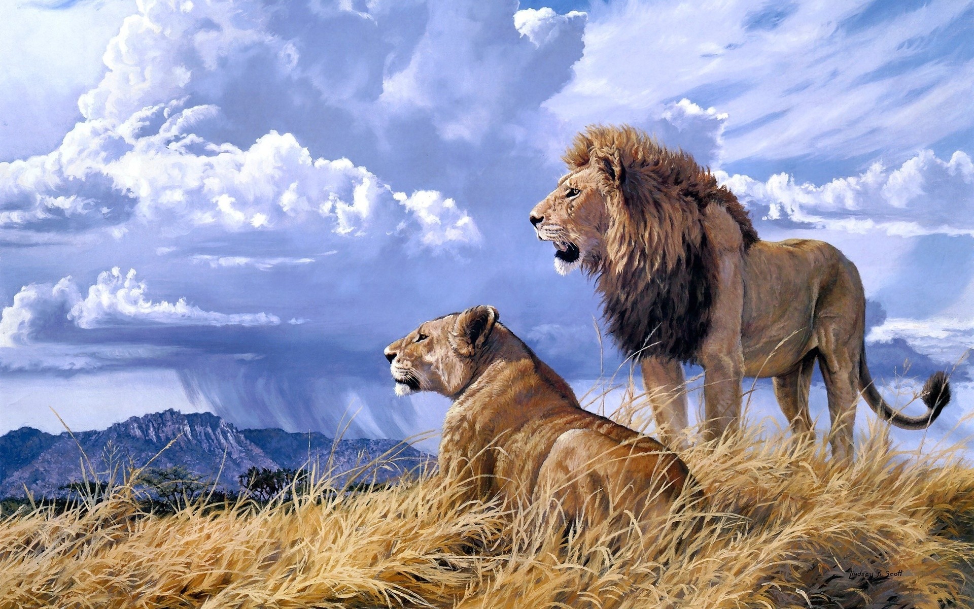 1920x1200 animals cats lion painting art landscape nature wildlife africa grass .