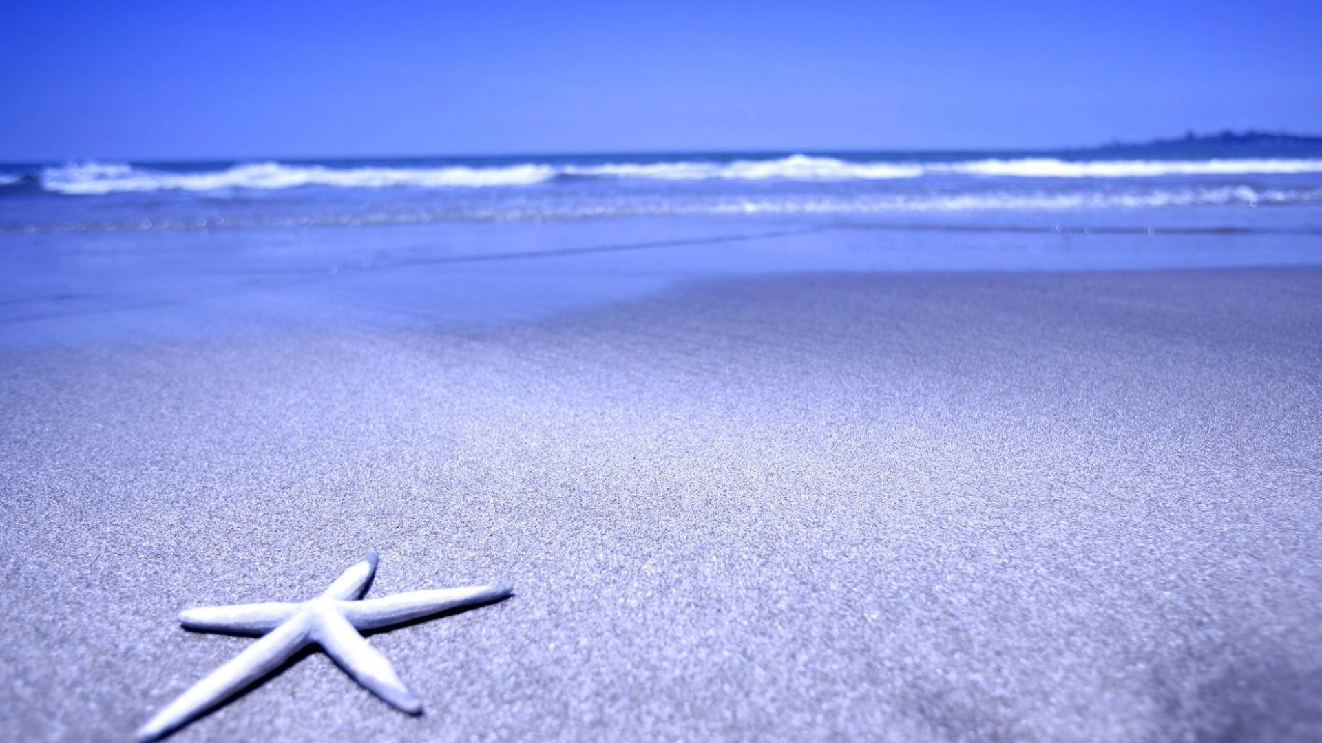 1920x1080  Wallpaper starfish, beach, sand, sea