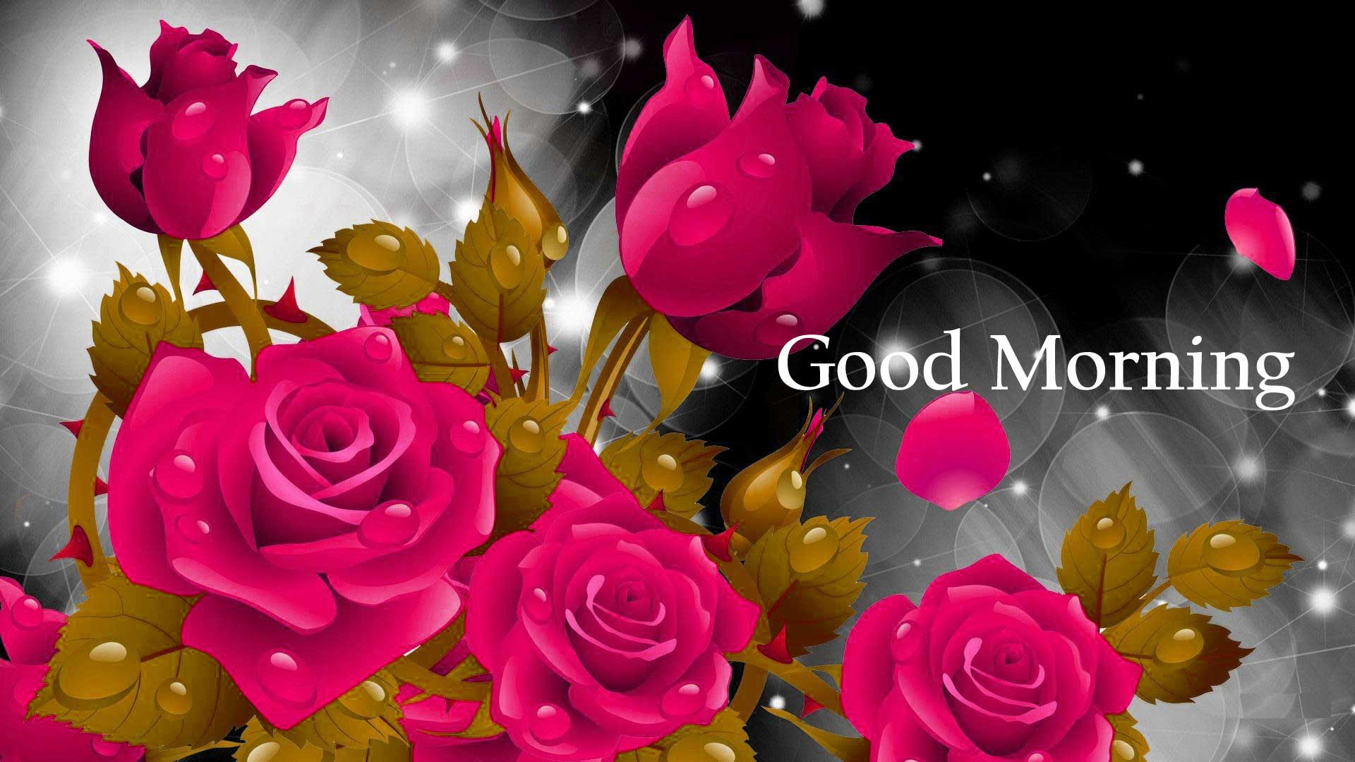 1920x1080  Hd Flowers Wallpapers Lovely 157 Good Morning Flowers S Pics Hd ..