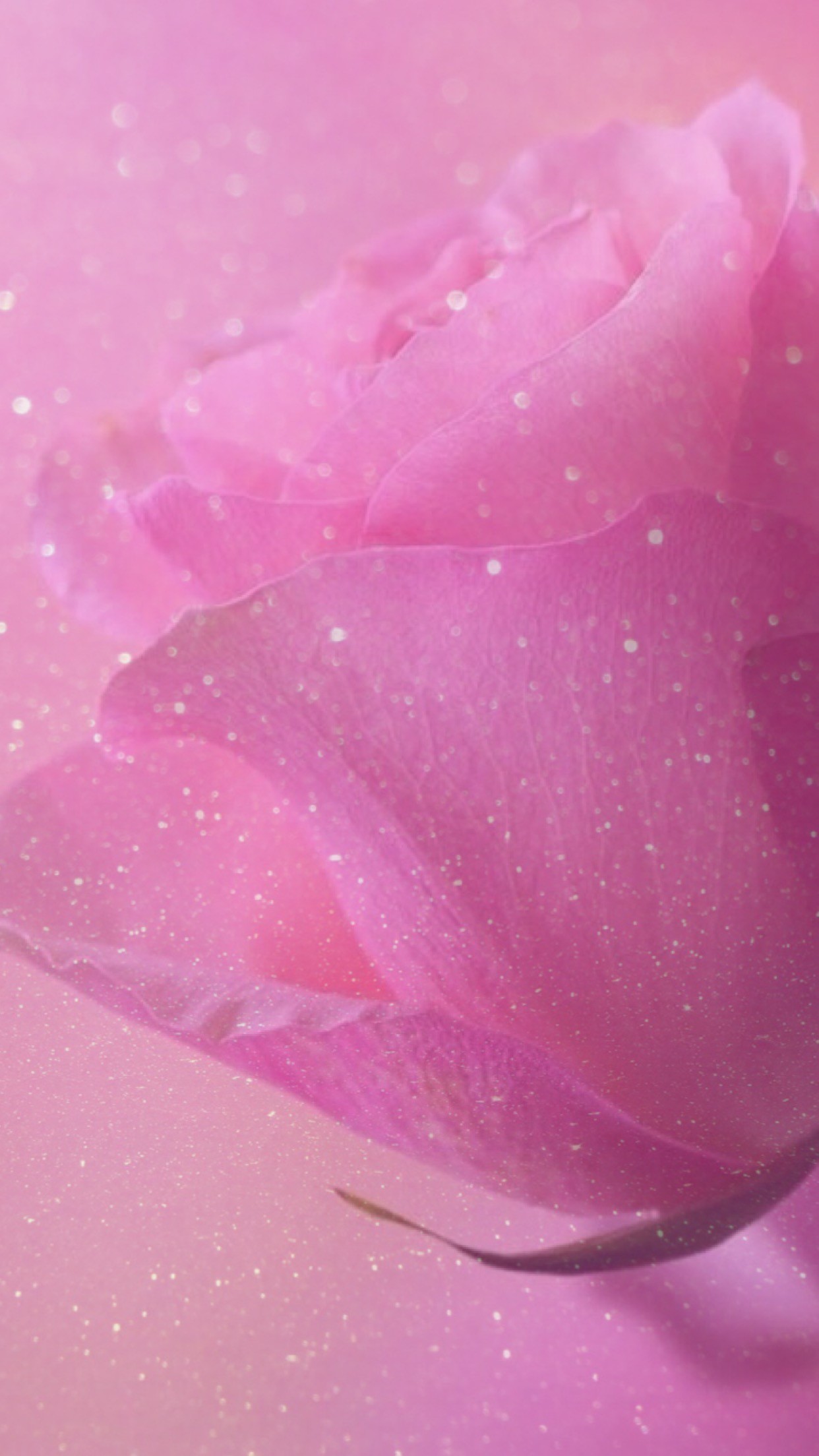 1242x2208 rose, sparkle, glitter, wallpaper, background, pink, pretty, girly,