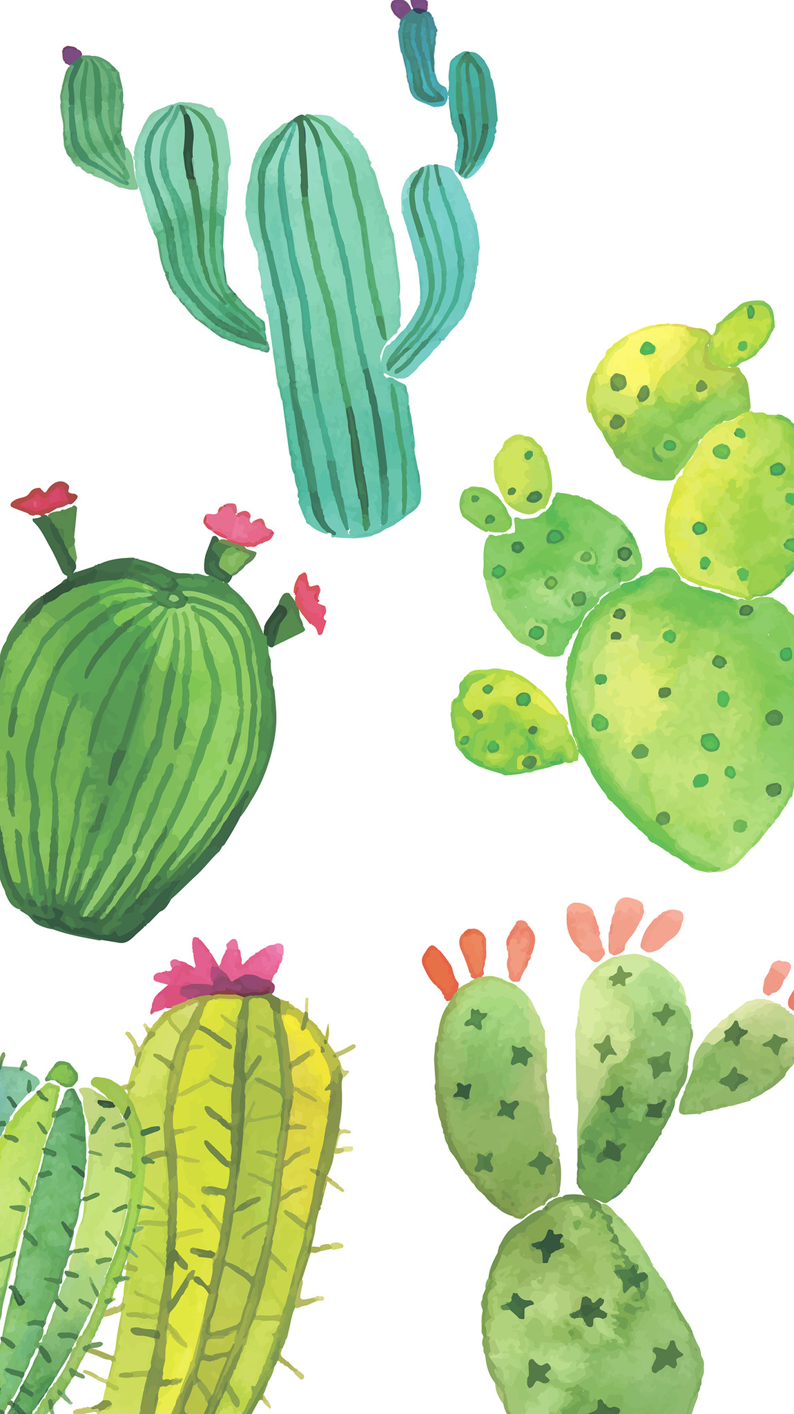 1150x2048 cute cactus wallpaper