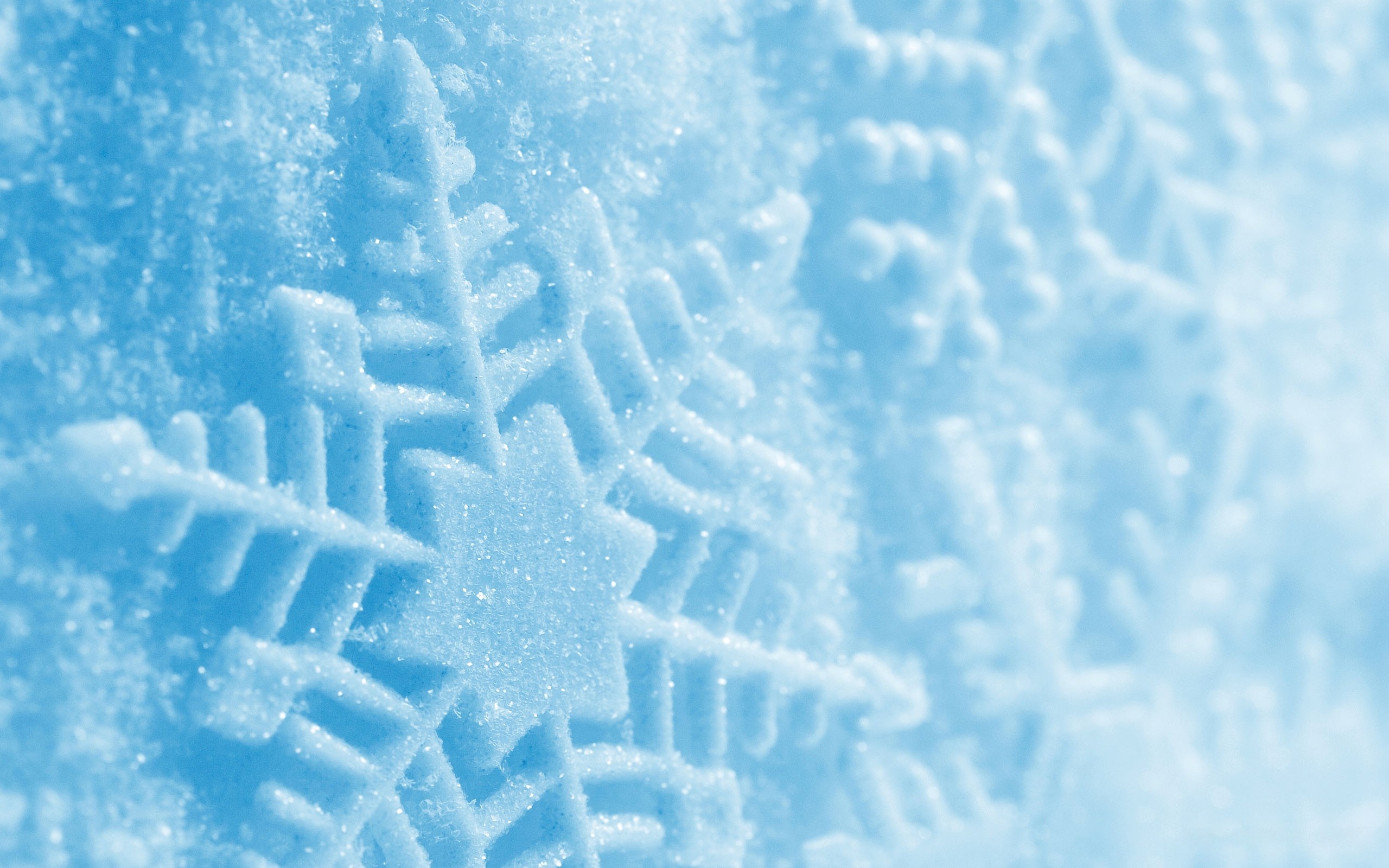 2560x1600  Wallpaper trail, snow, winter, blue, snowflake