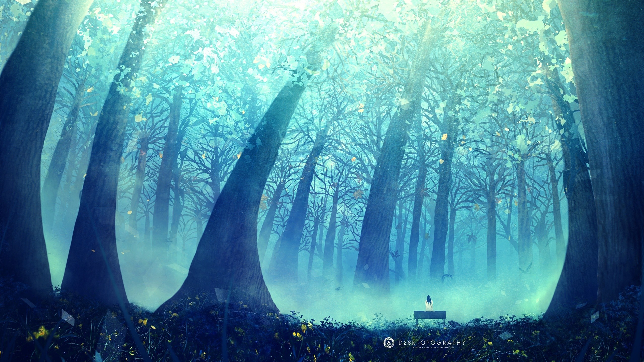 2560x1440 Anime - Original Tree Landscape Wallpaper
