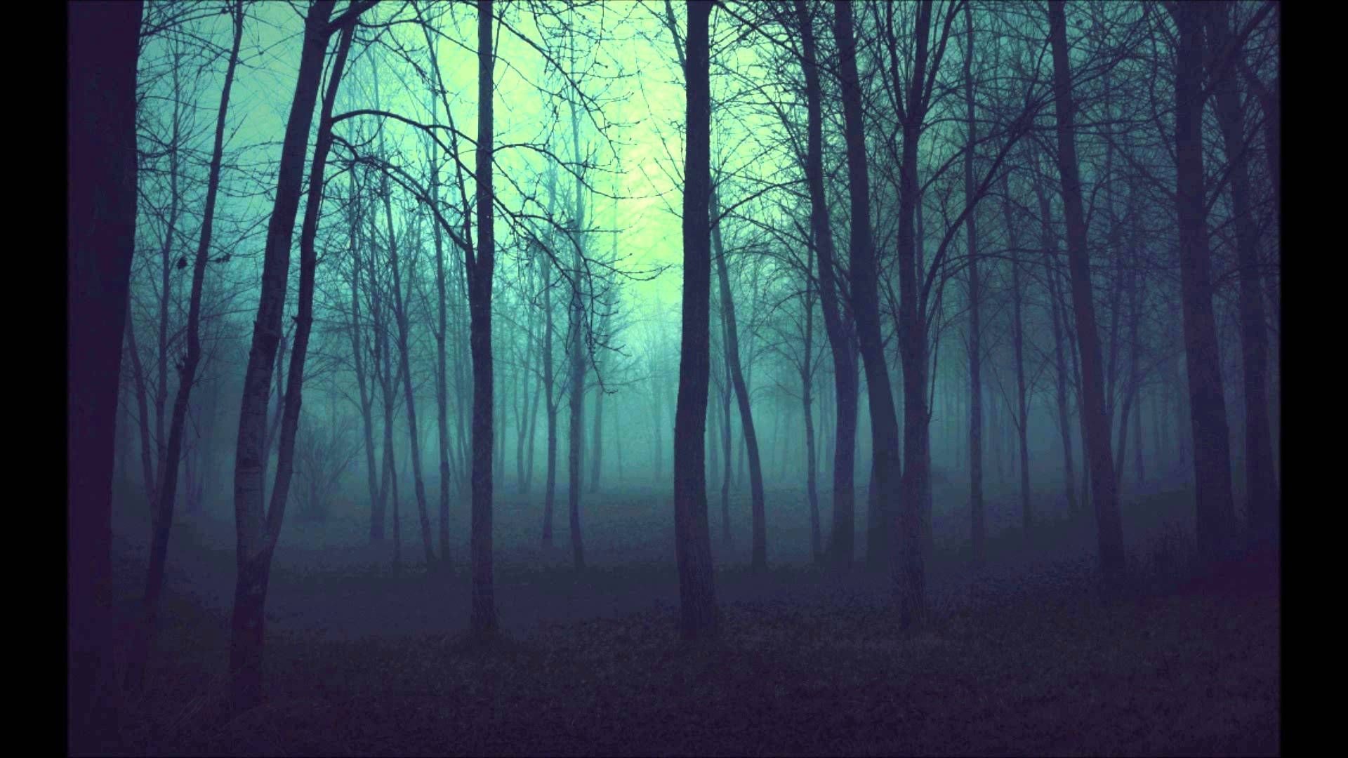 1920x1080 woods - Google Search