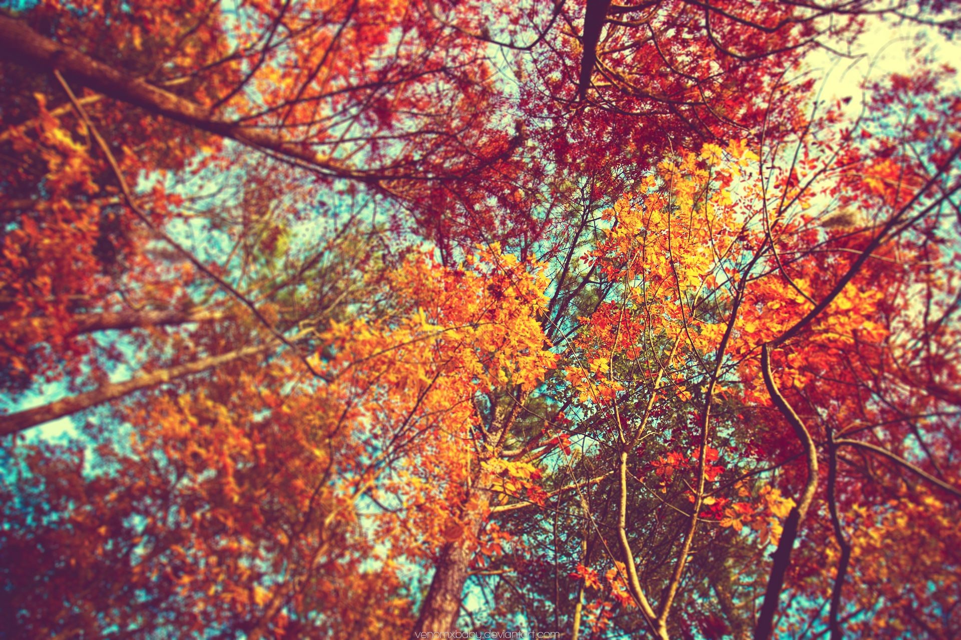 1920x1280 Autumn Tumblr Wallpapers 1080p with High Definition Wallpaper .