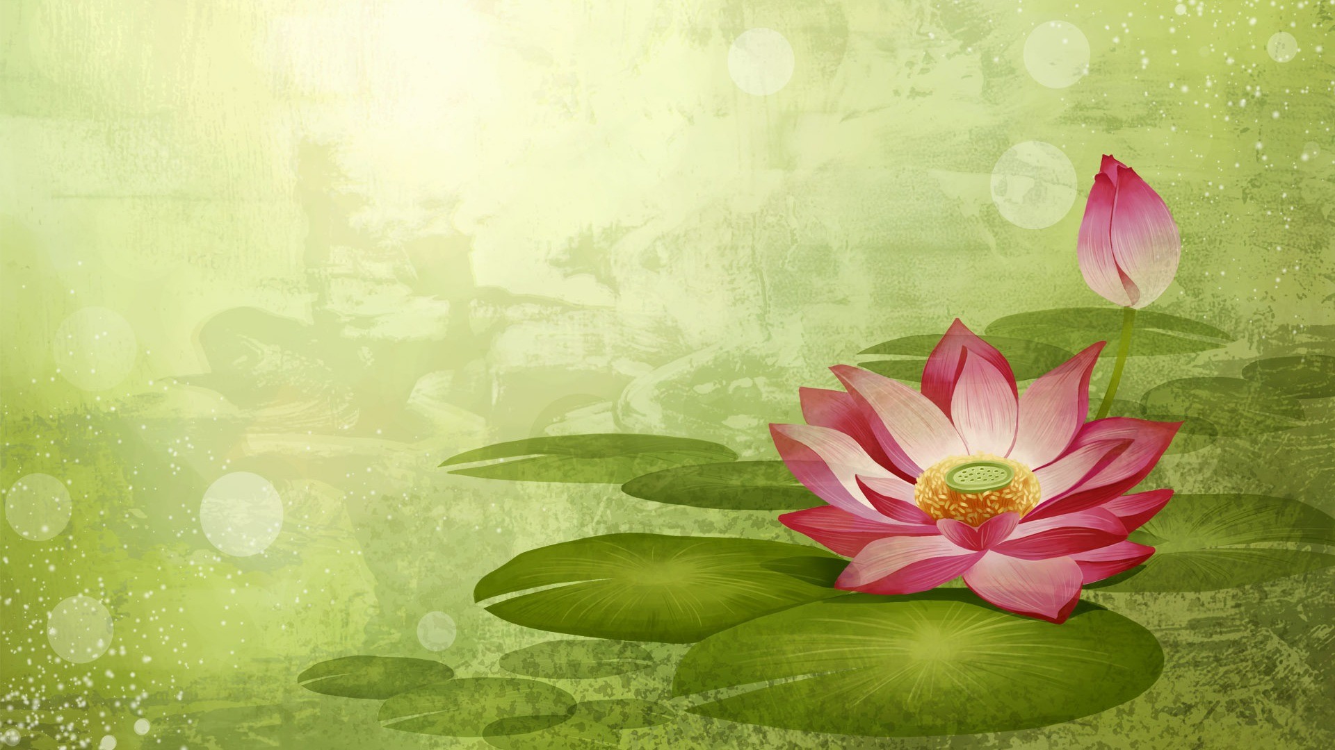 1920x1080 Wallpaper Lotus Flower Design