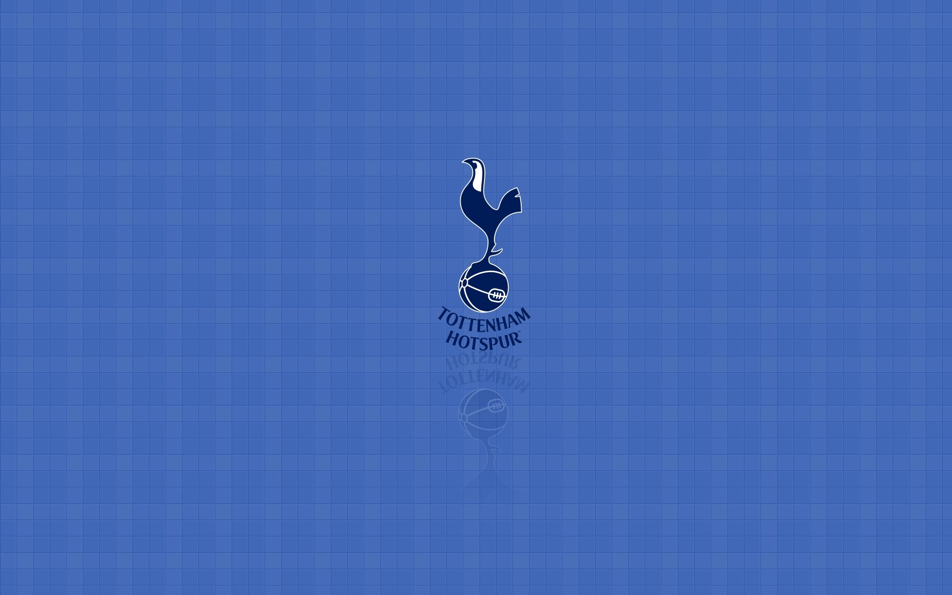 1920x1200 Tottenham Hotspur wallpaper with crest, widescreen background with logo  px