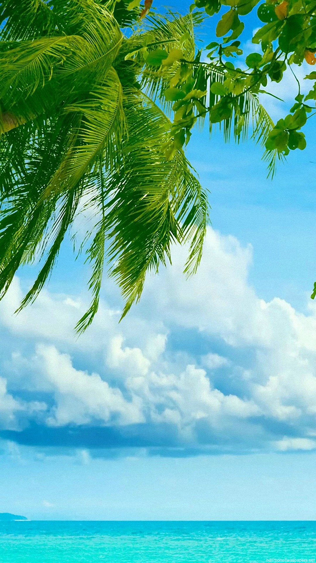 1080x1920 HD sea tree beach clouds tropical iphone 6 wallpaper