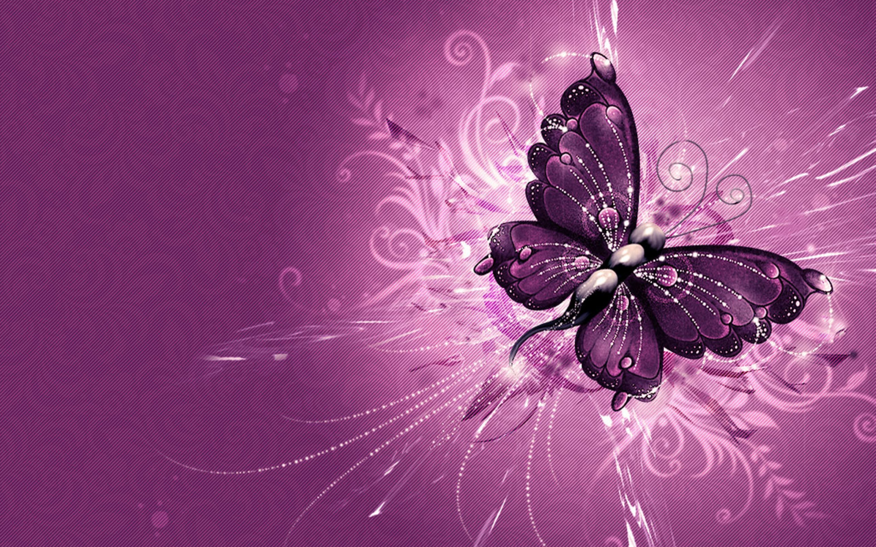 2880x1800 Purple Butterfly In HD HD Desktop Wallpaper, Background Image
