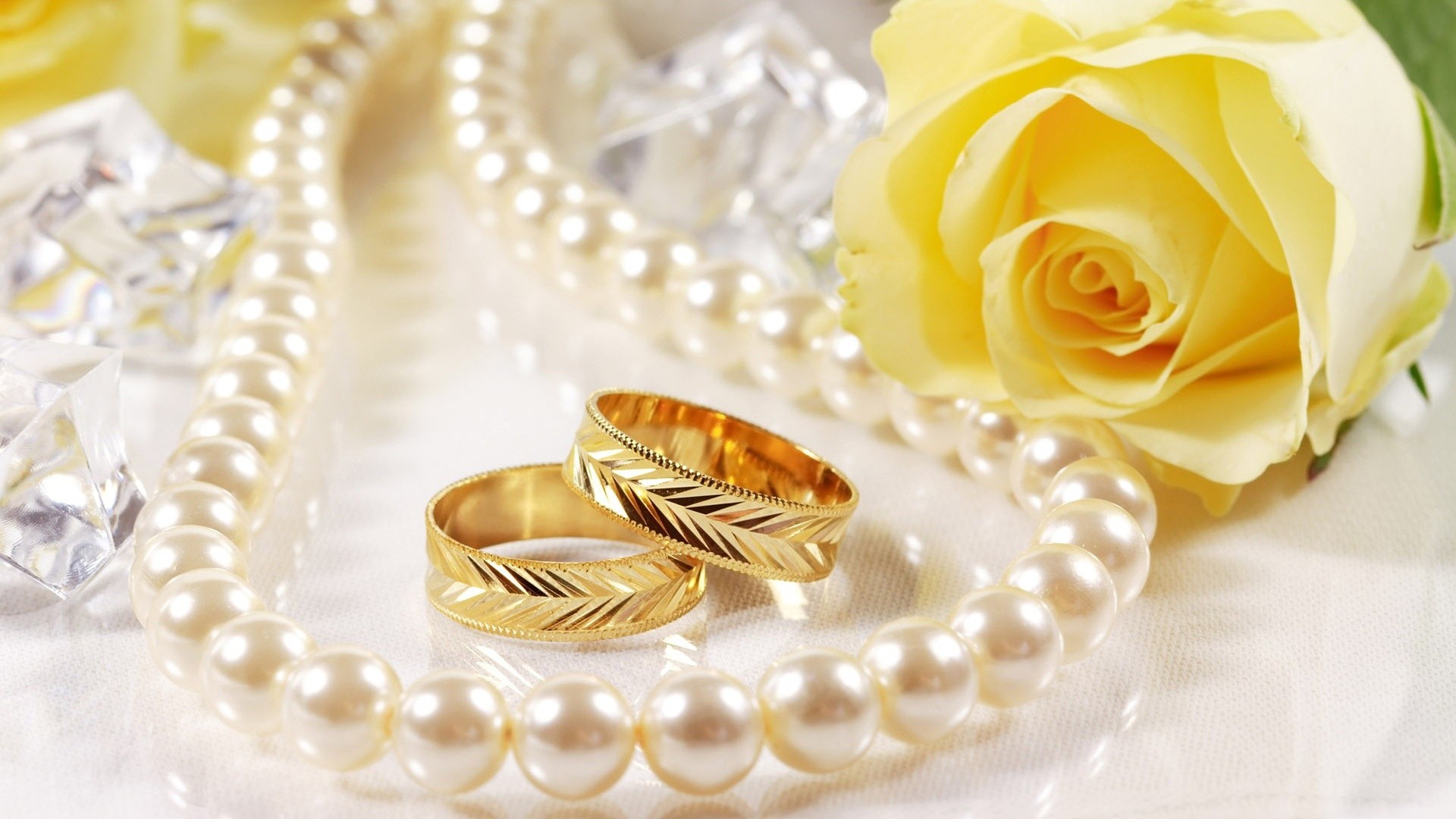 1920x1080 Wedding rings and yellow rose #wallpapers