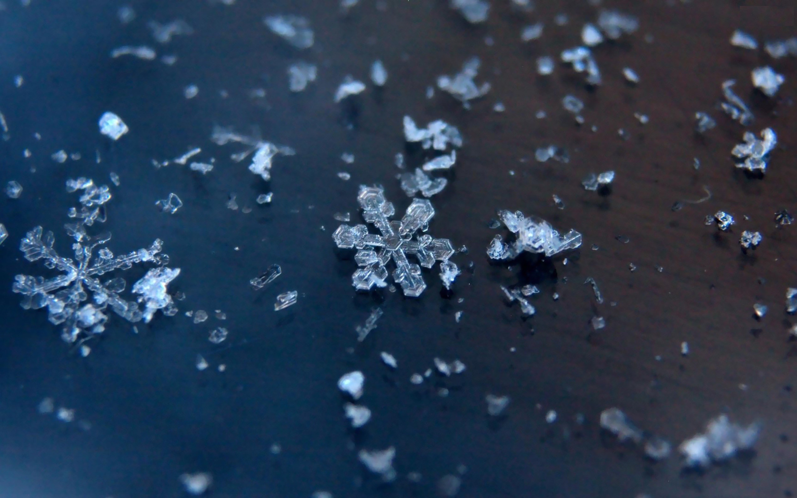 Snowflakes Wallpaper (71+ images)