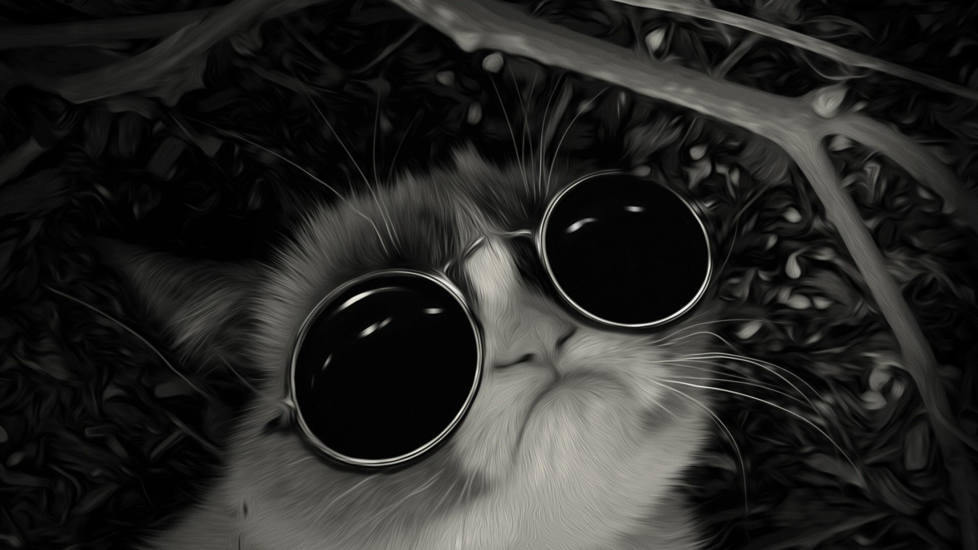1920x1080 Grumpy Cat Sunglasses ...