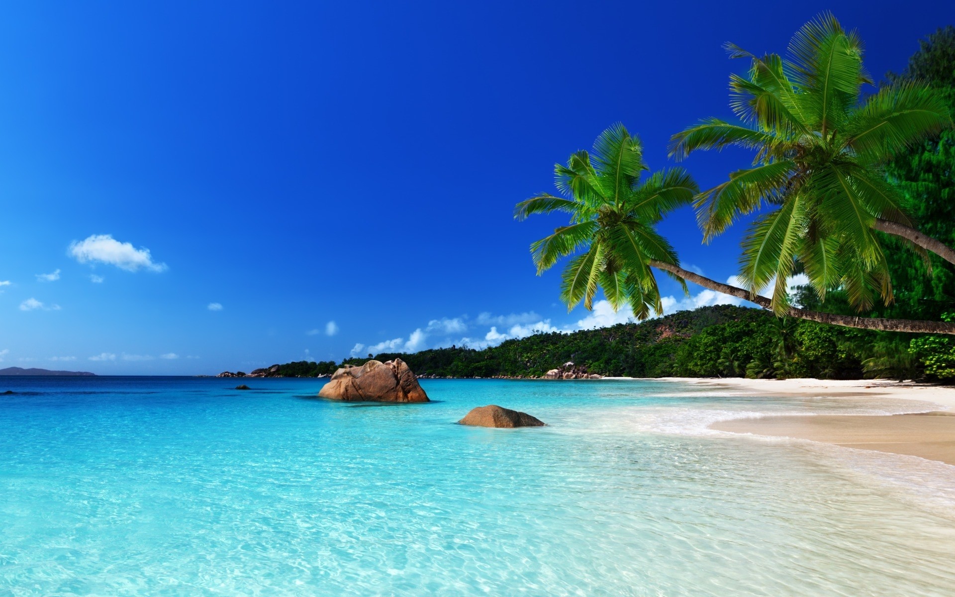 1920x1200 Tropical HD Wallpaper | Background Image |  | ID:475967 - Wallpaper  Abyss