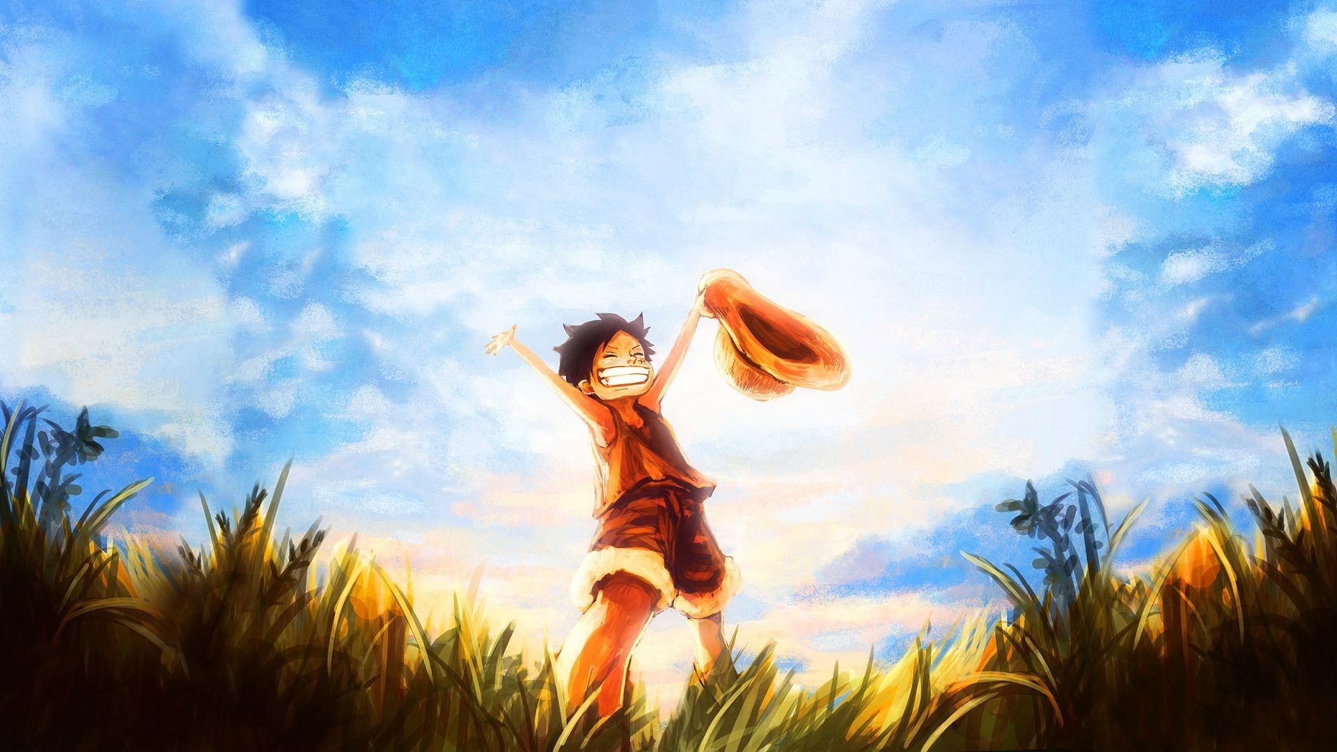 1920x1080 2560x1600 HD One Piece 3D Pictures Widescreen, WR.398