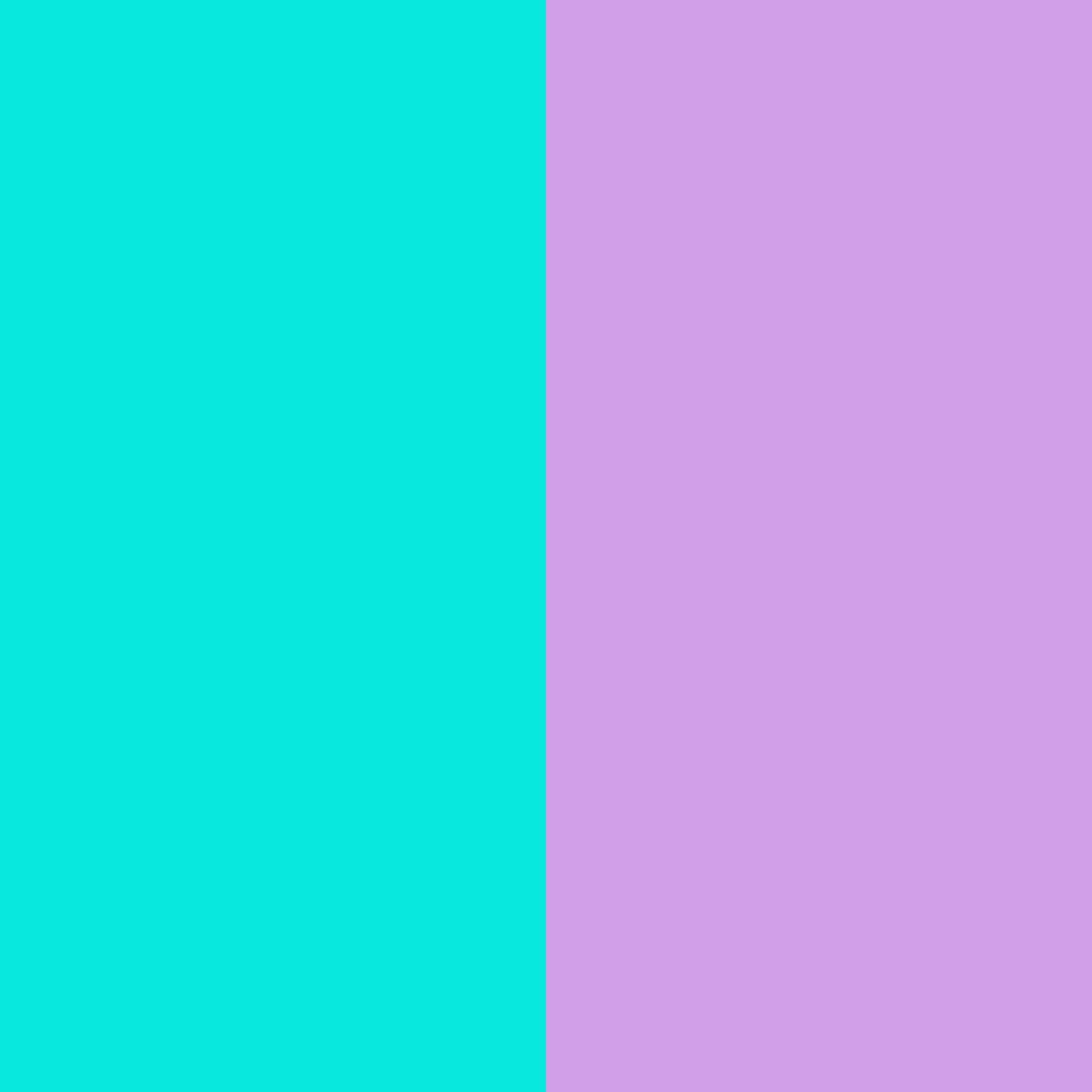 2048x2048 -bright-turquoise-bright-ube-two-color-background.