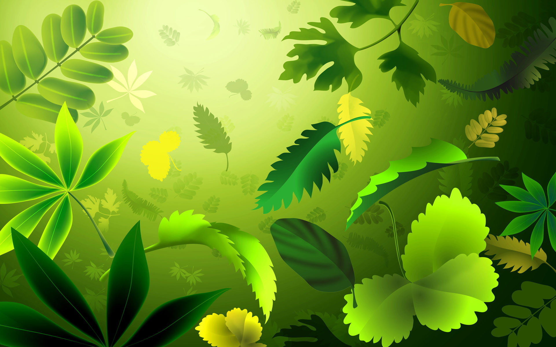1920x1200 green leaves hd wallpaper download cool images download high definition background  wallpapers colourful desktop wallpapers widescreen digital photos ...